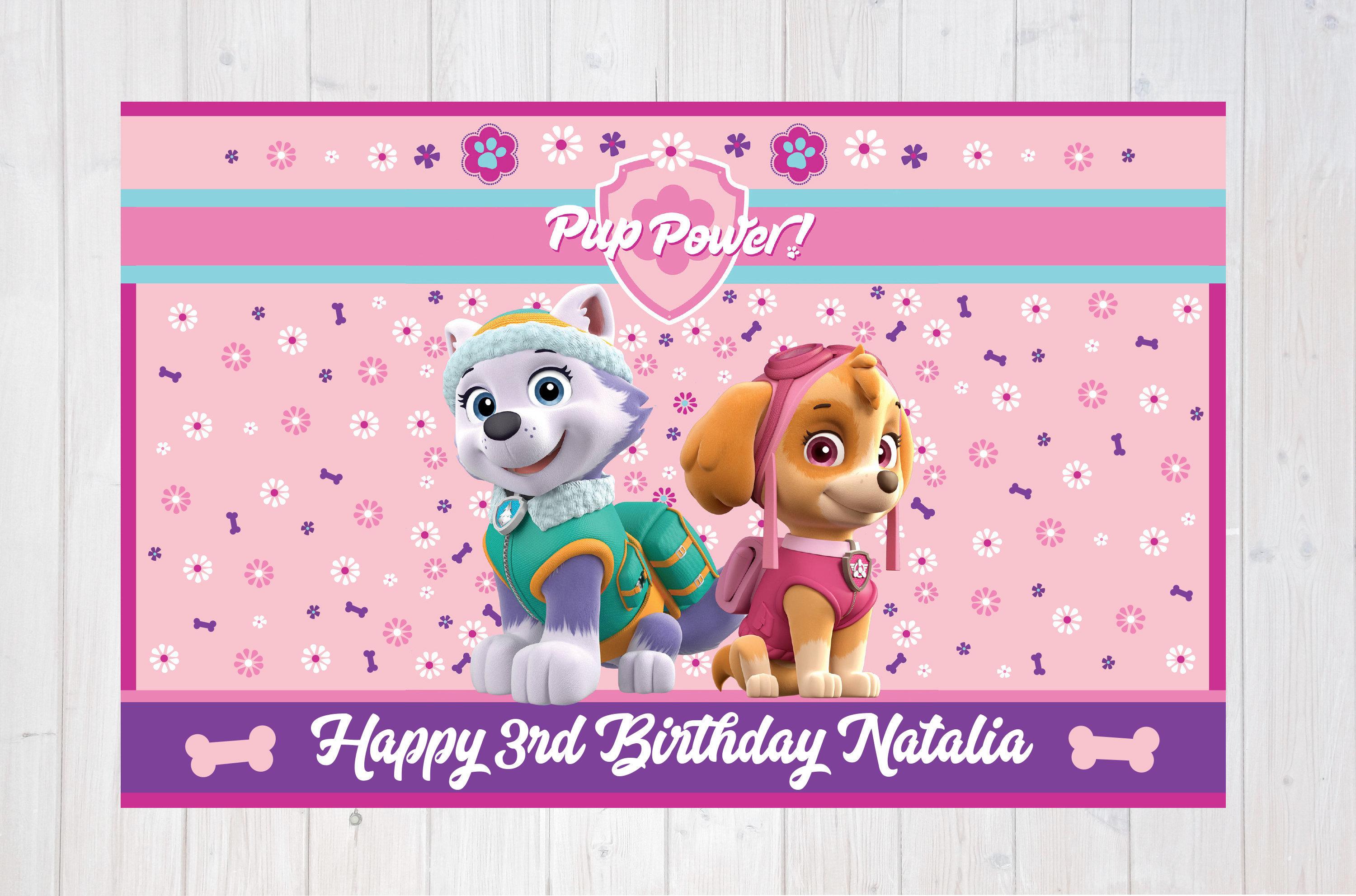 PAW Patrol Girl Wallpapers - Top Free PAW Patrol Girl Backgrounds ...