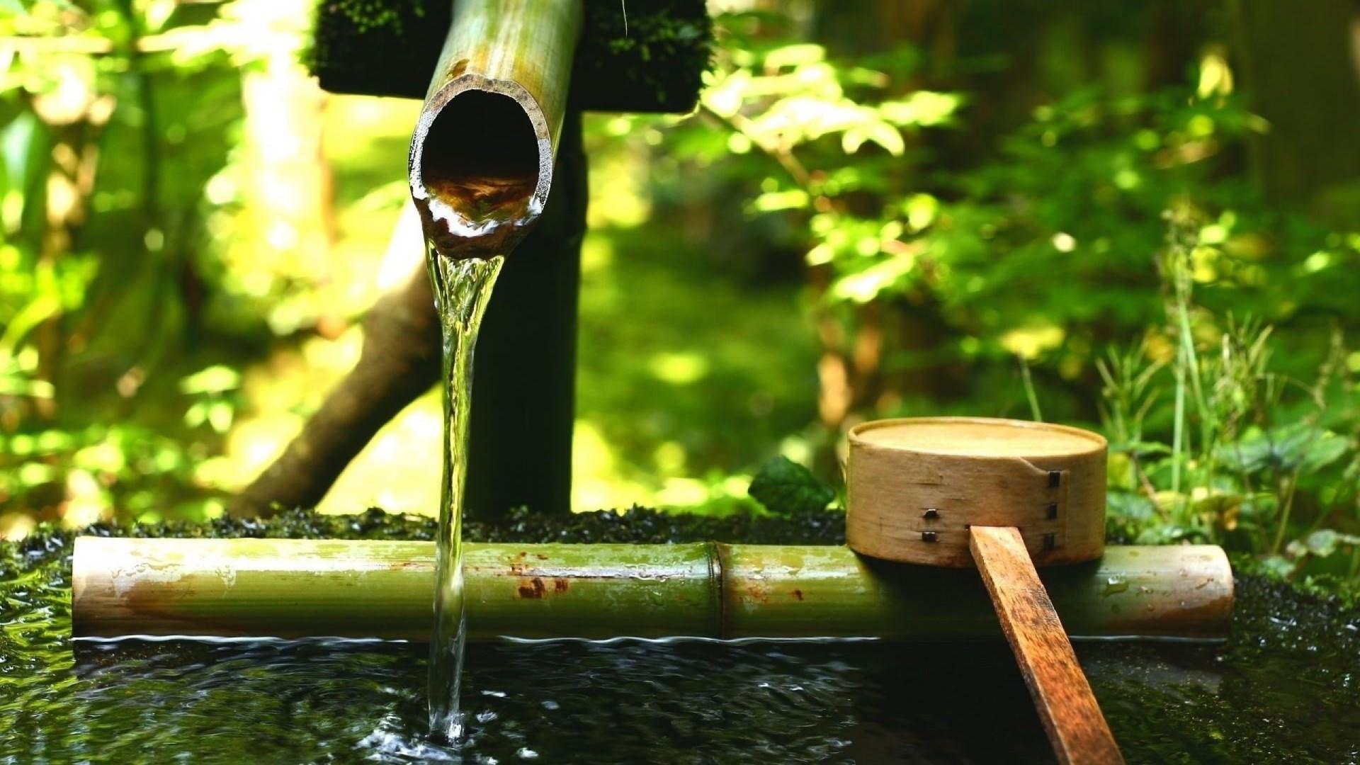 1920x1080 Japan nature HD wallpaper. HD Latest Wallpaper