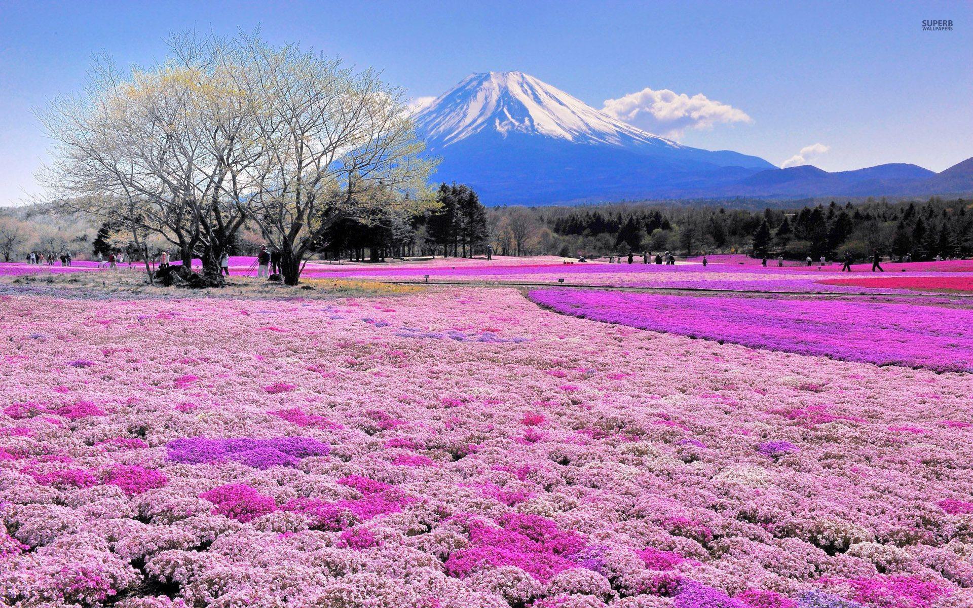 Japan Nature Wallpapers Top Free Japan Nature Backgrounds Japan Nature Wallpapers Top Free Japan Nature Backgrounds