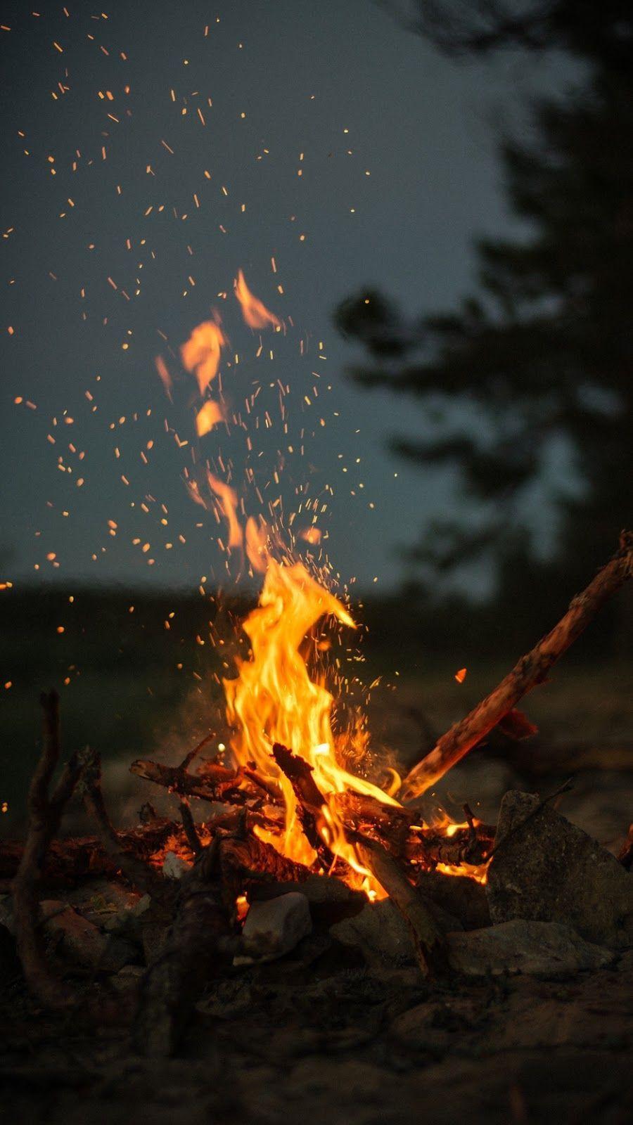 900x1600 Bushcraft Wallpaper