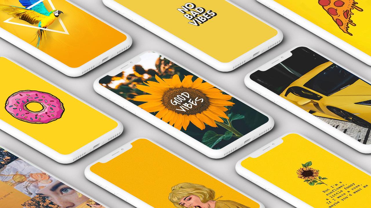 Funny Yellow Wallpapers - Top Free Funny Yellow Backgrounds