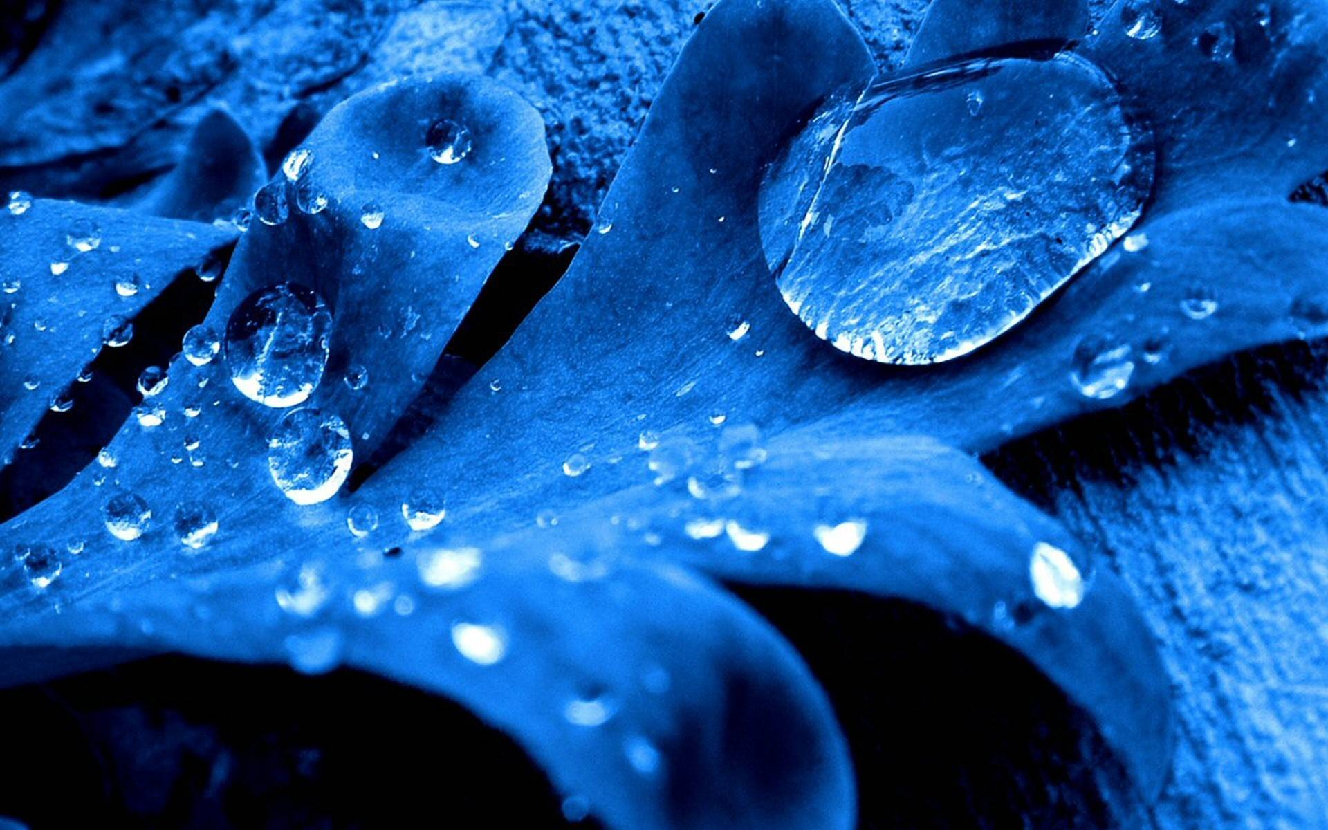 1920x1200 Water Drop HD Wallpaper and Background