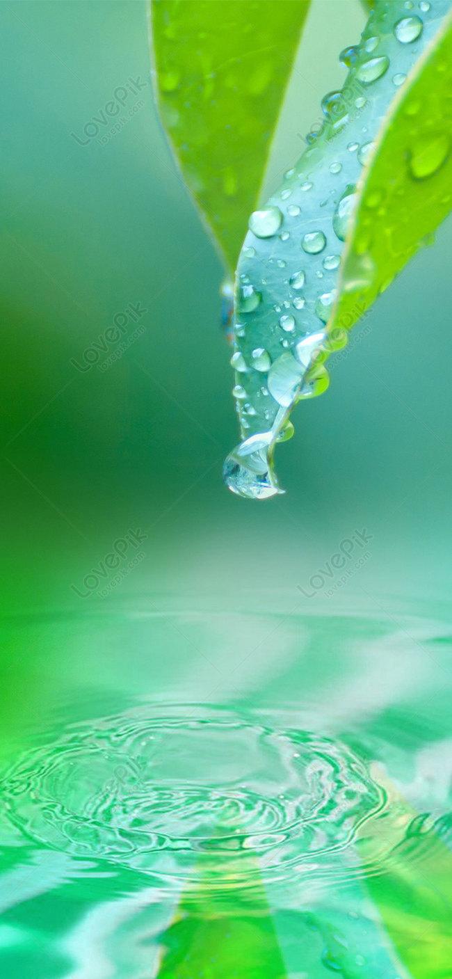 650x1407 Water Drop Cell Phone Wallpaper Image Free Download