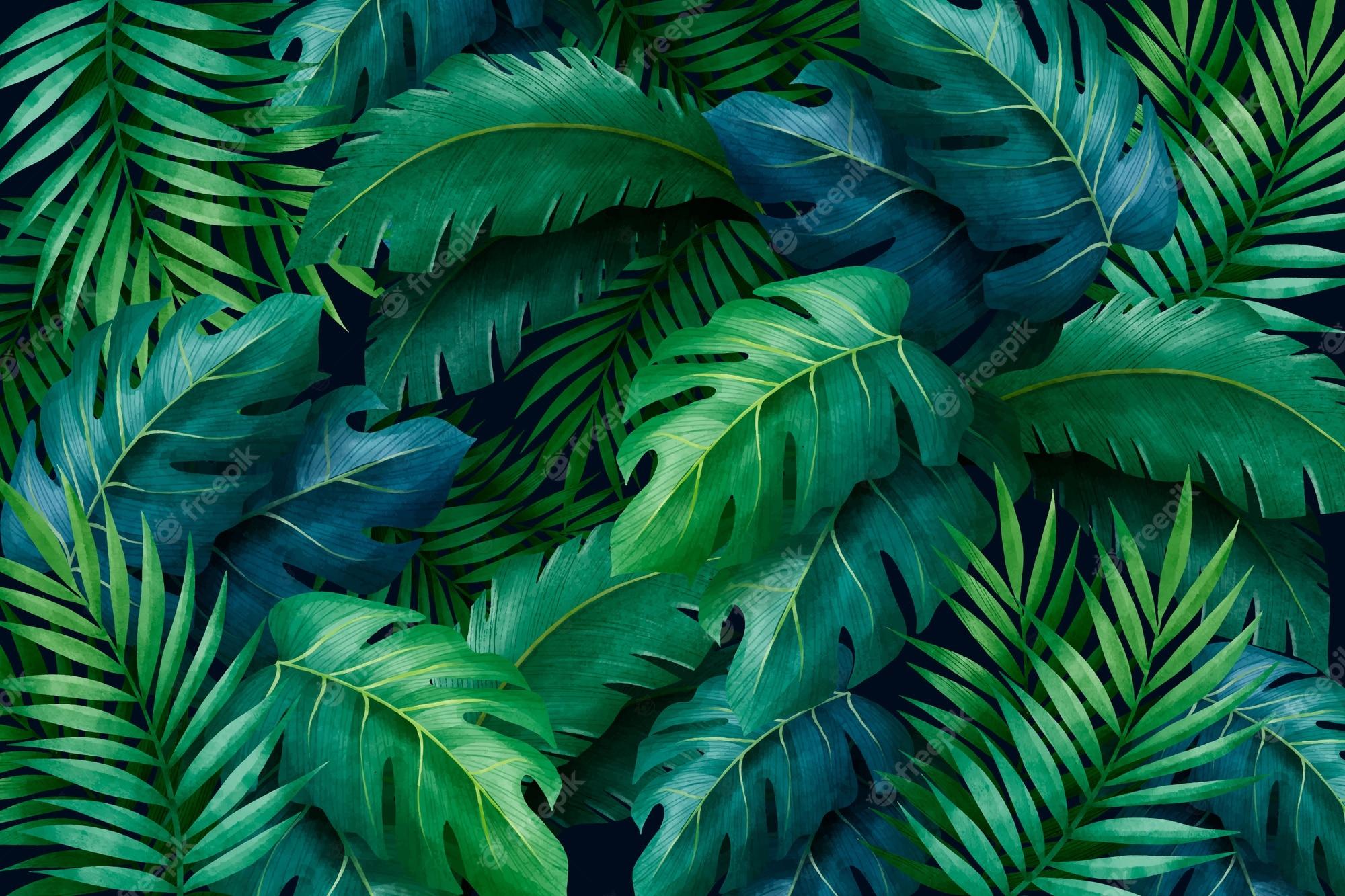 2000x1333 Free Vector. Tropical green leaves background