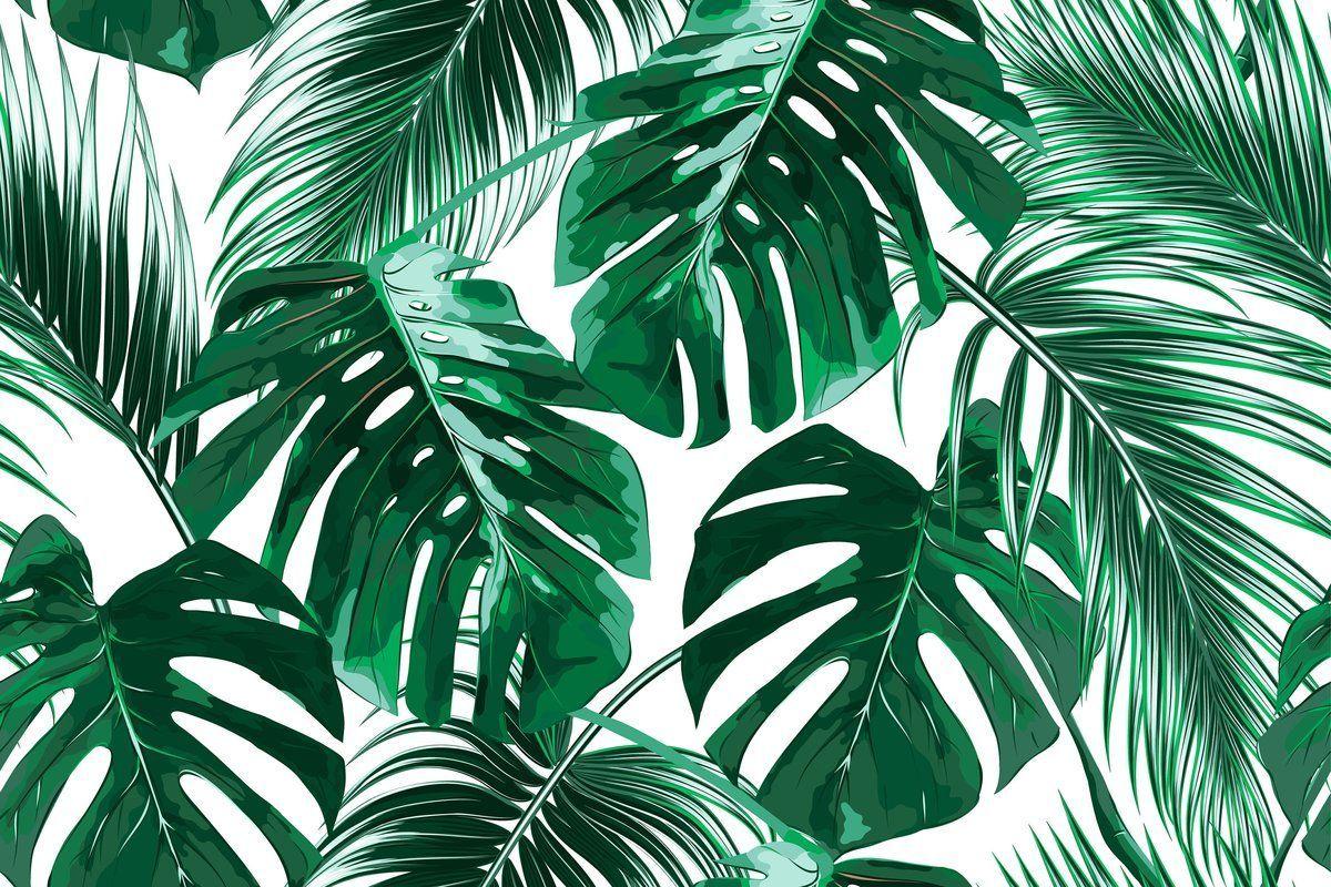1200x800 Bannock Removable Tropical Palm Leaves 7.92' L x 150 W Peel and Stick Wallpaper Roll #wallpa. Wallpaper achtergronden, Tumblr achtergronden, Computer achtergrond