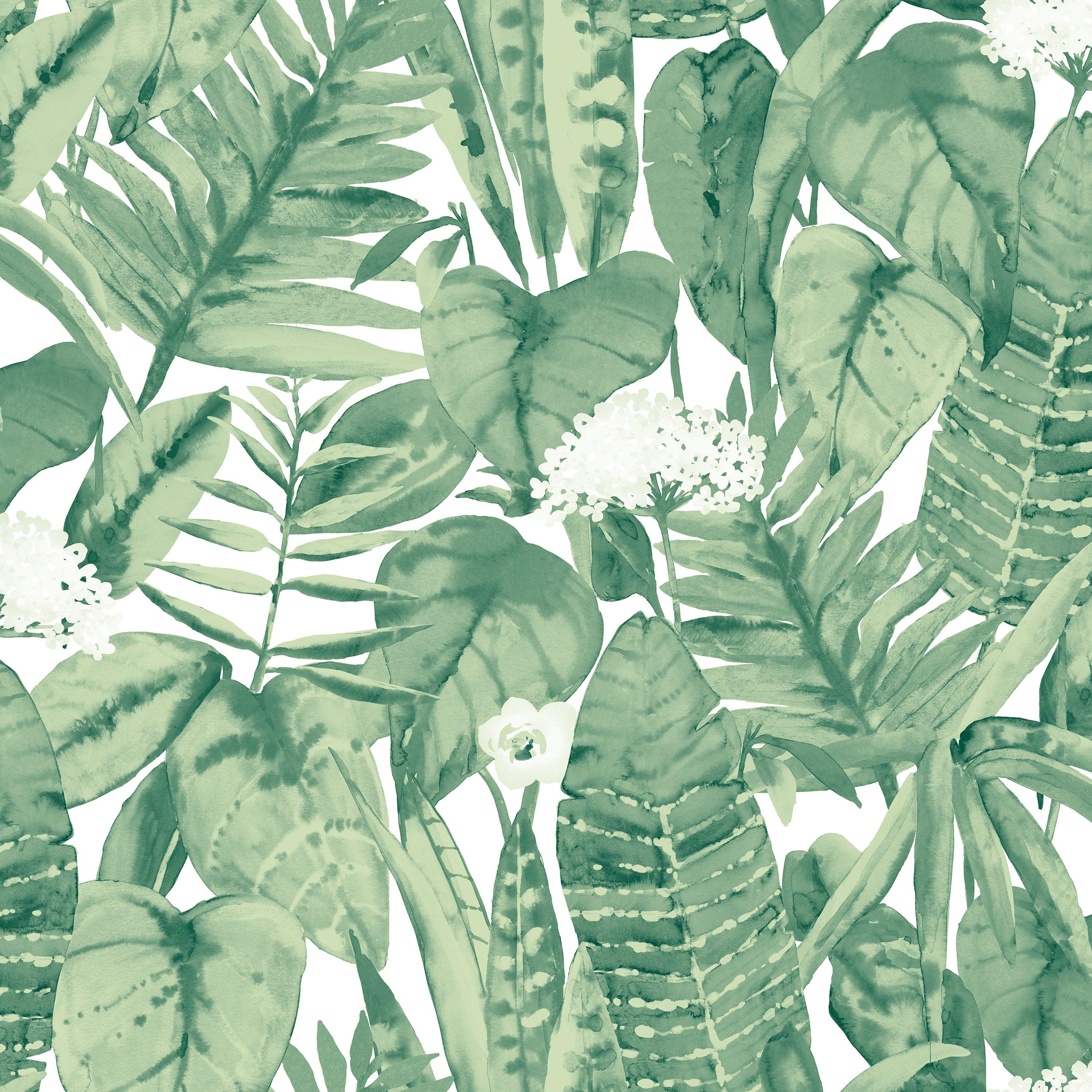 3000x3000 Tropical Green Leaves Removable Wallpaper Now at