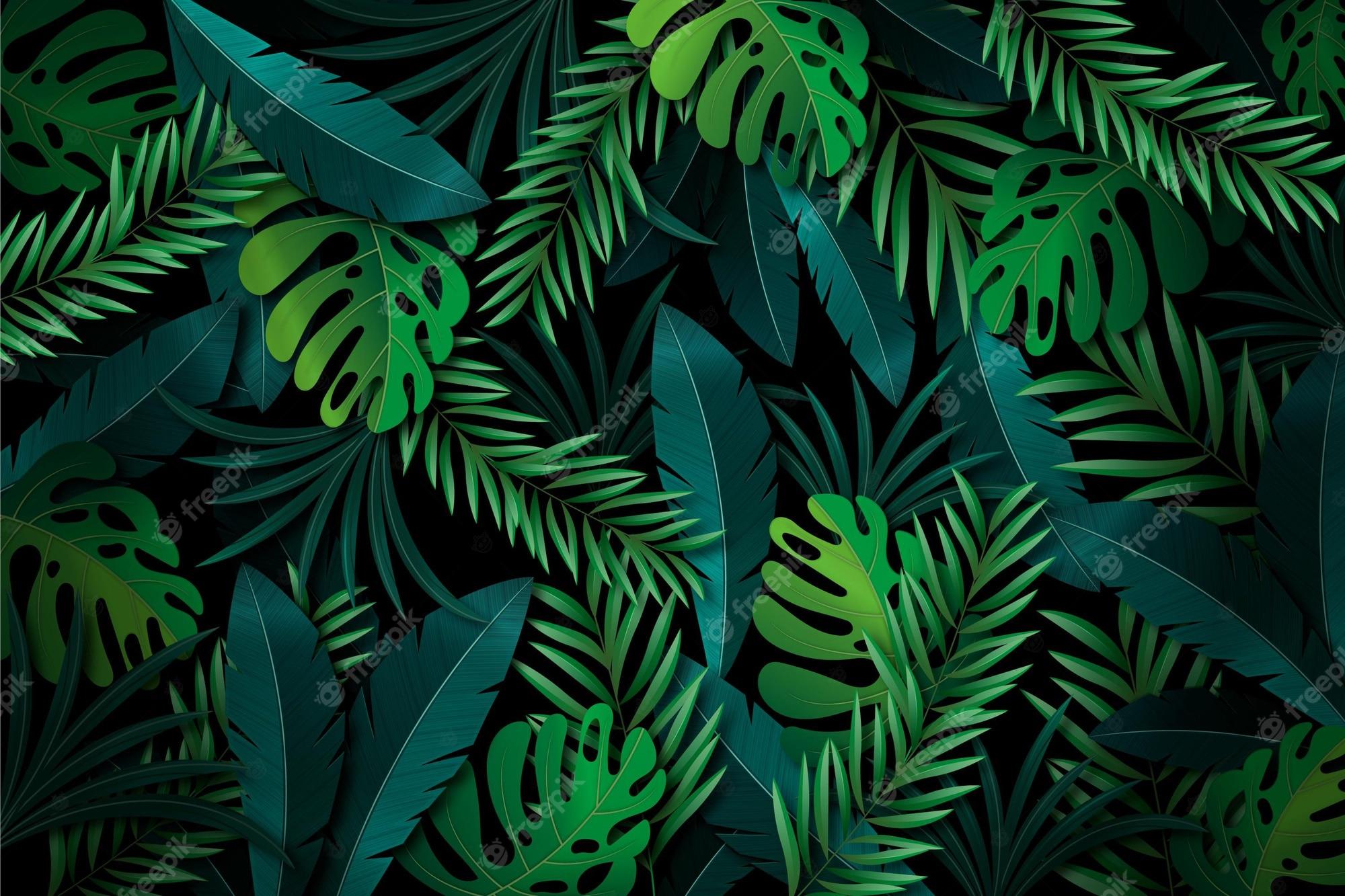 2000x1333 Free Vector. Creative tropical leaves background
