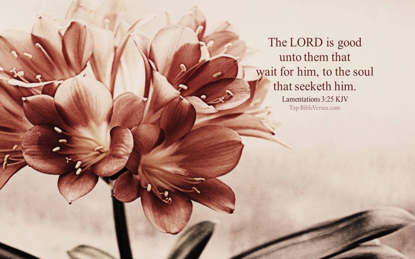 1440x900 Lamentations 3:25 KJV Desktop Wallpaper. Bible Verse Wallpaper