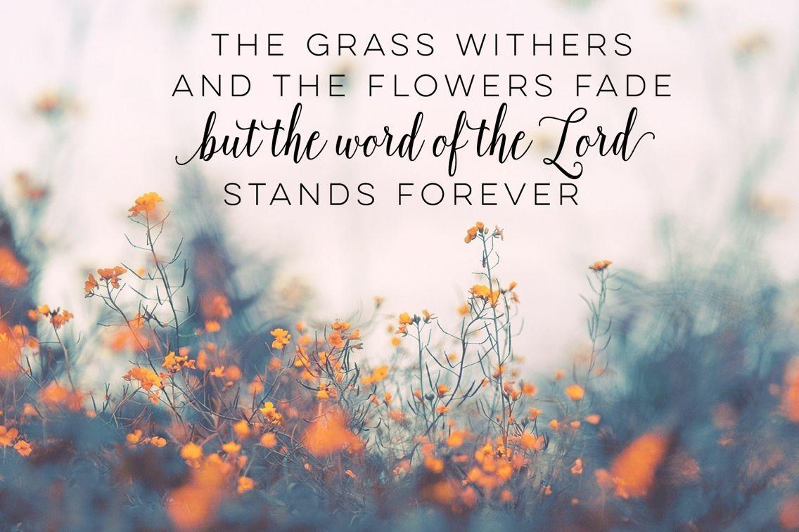 1136x757 Free download Bible Verse Desktop Wallpaper Desktop Wallpaper Wallpaper [1136x757] for your Desktop, Mobile & Tablet. Explore Desktop Wallpaper Christian. Christian Wallpaper, Christian Christmas Wallpaper, Christian HD Wallpaper