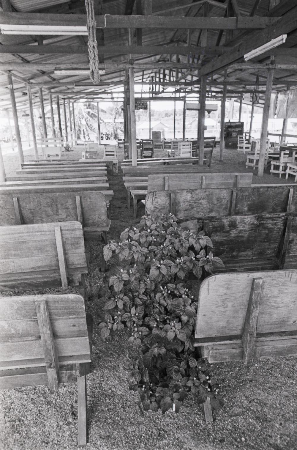 1000x1514 Photos of Abandoned Jonestown Village, Once Home to Peoples Temple