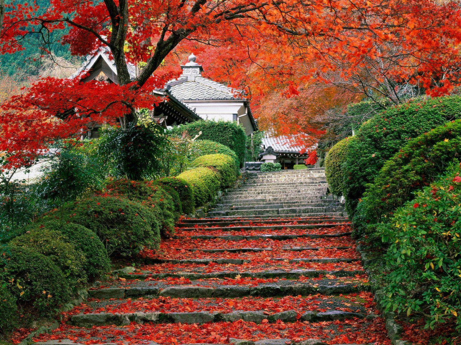 1600x1200 Japan Garden Nature Wallpaper Wide