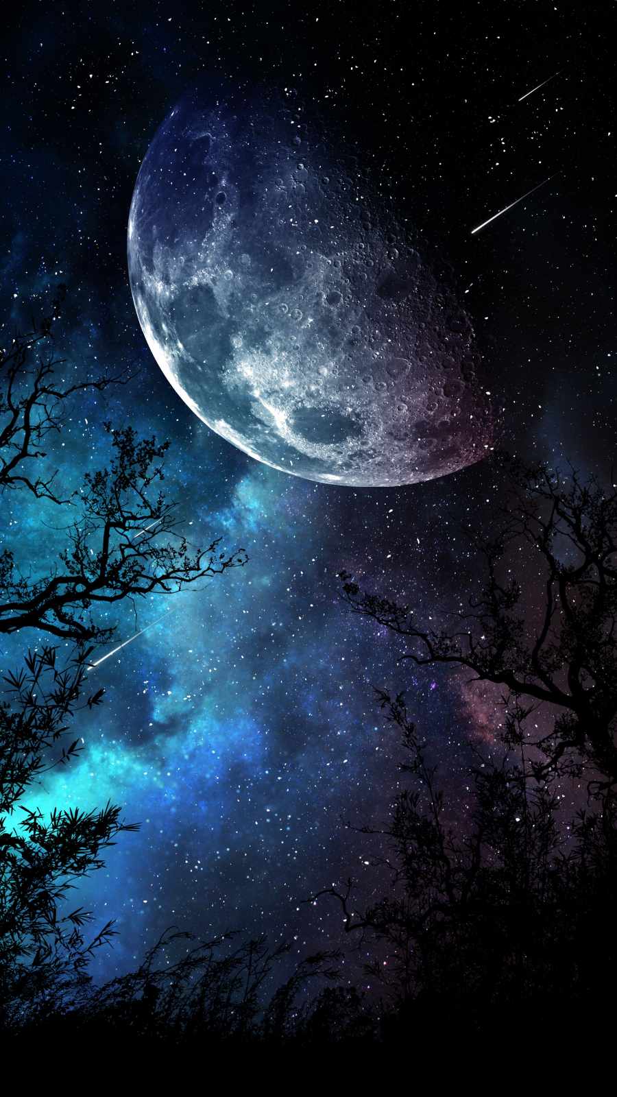 900x1600 Starry Sky Night Moon Wallpaper : iPhone Wallpaper