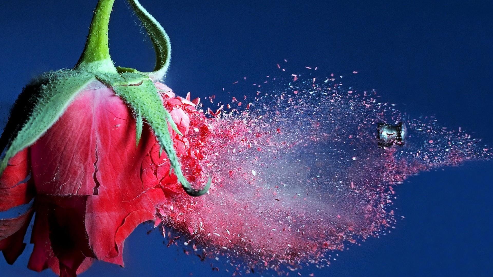 1920x1080 High Quality 3D Wallpaper , free download, (55)-