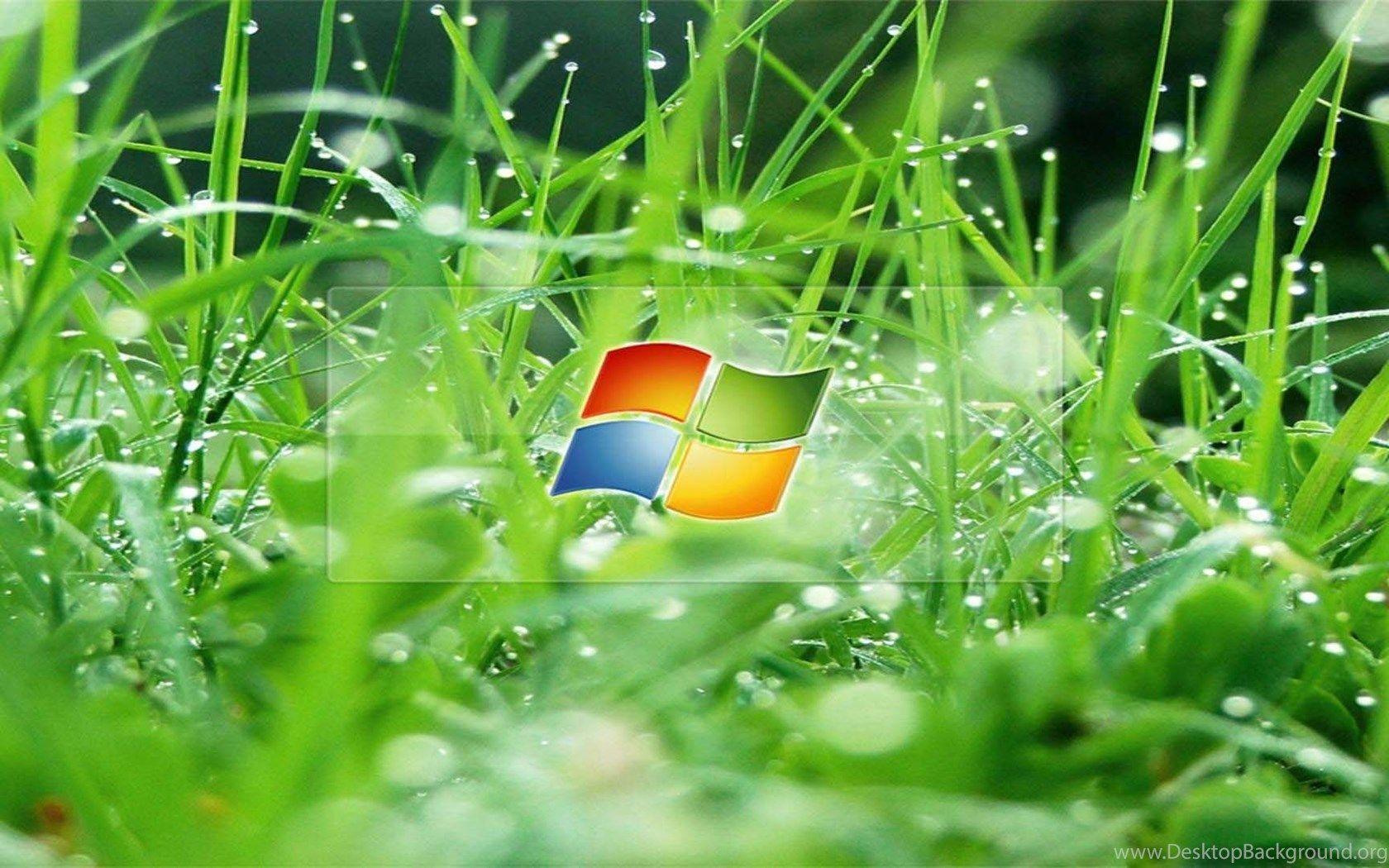 1680x1050 High Quality 3D Wallpaper