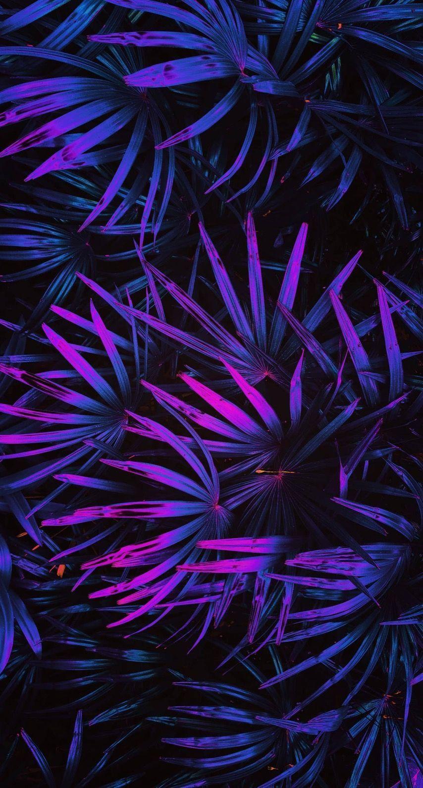 854x1590 Purple Leaves Wallpaper