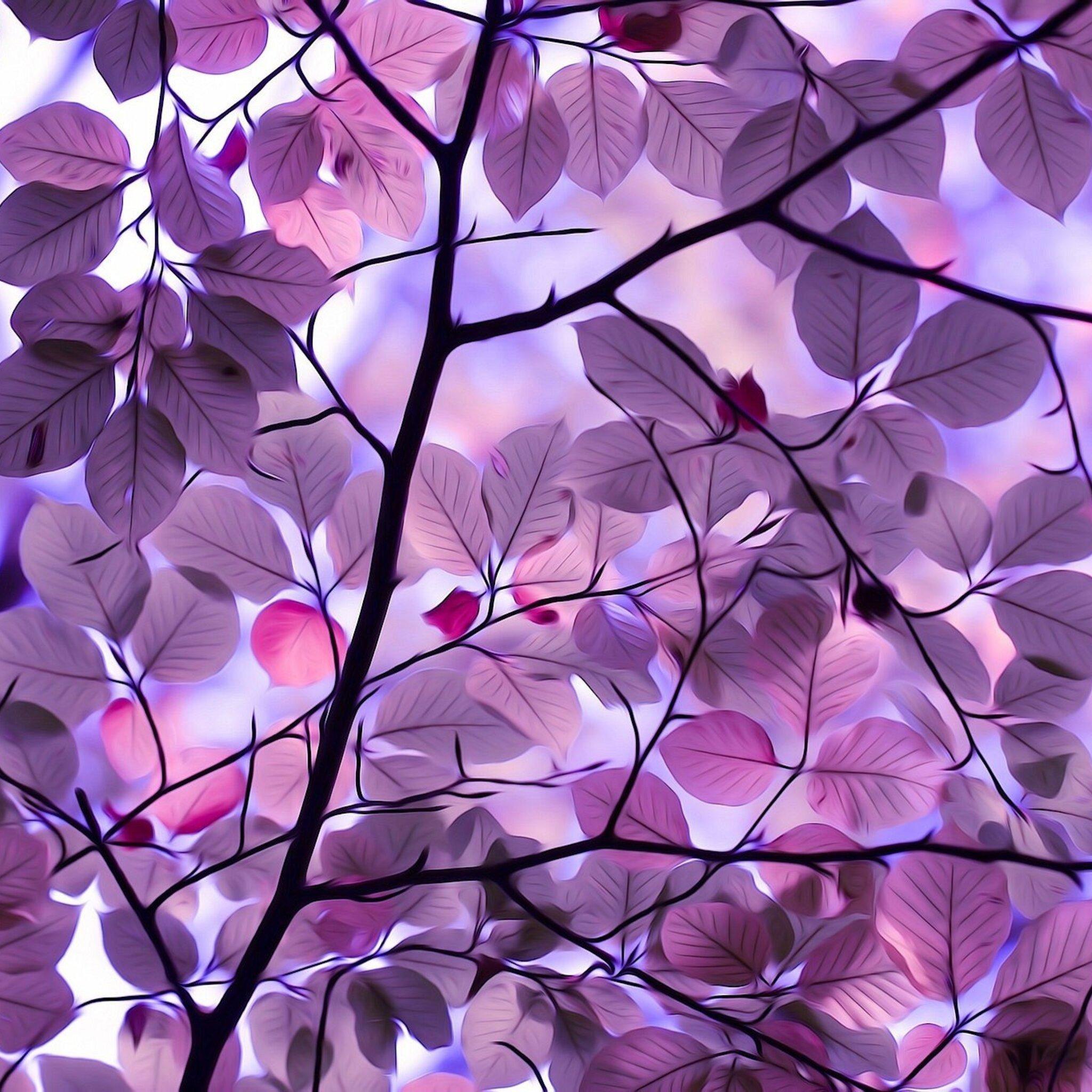 2048x2048 Purple Leaves iPad Air HD 4k Wallpaper, Image, Background, Photo and Picture