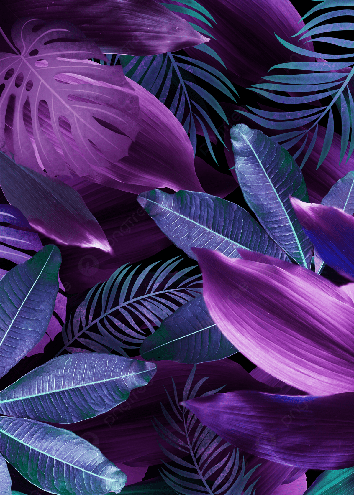 1200x1680 Palm Leaves Purple Creative Background, Palm Leaves, Plant, Leaves Background Image for Free Download