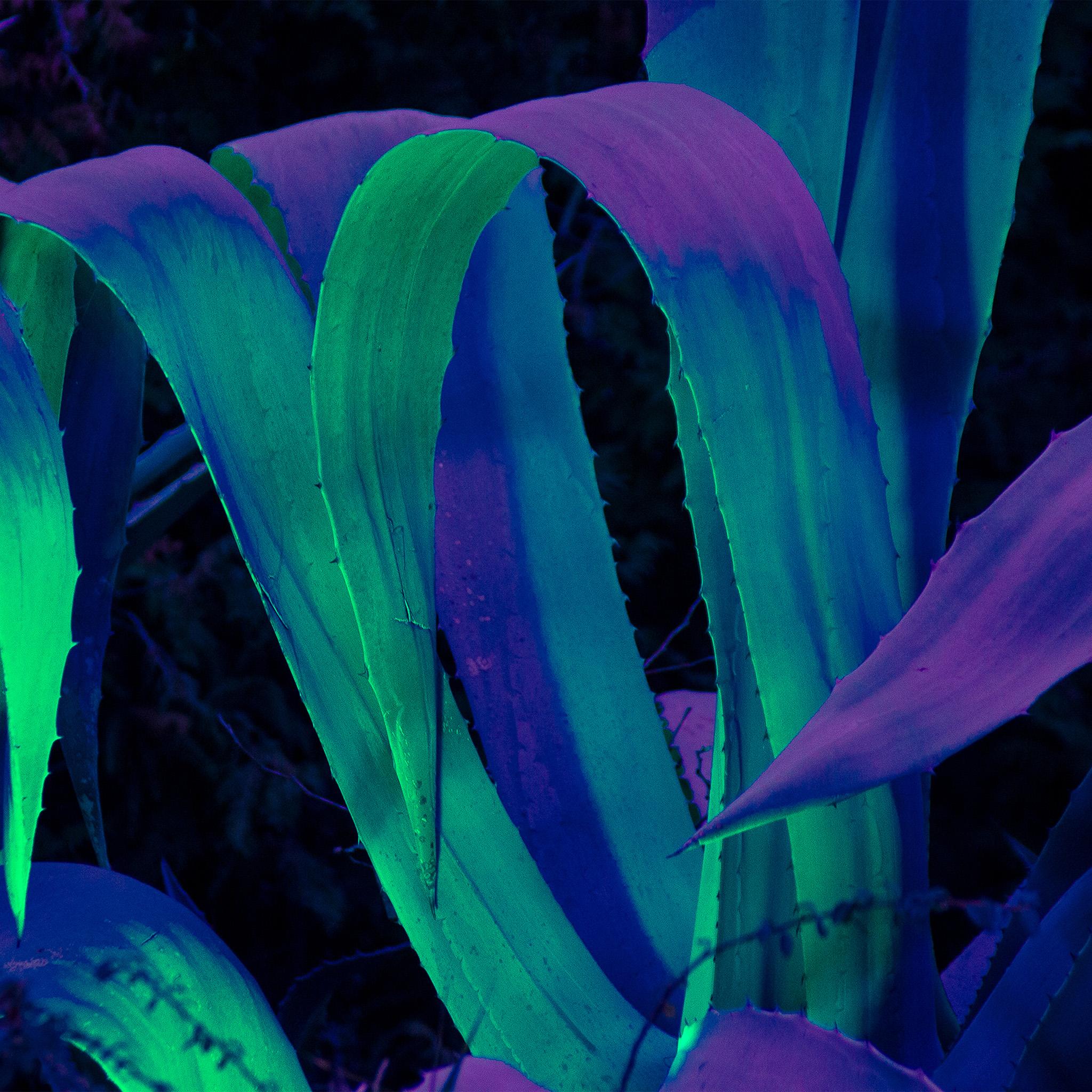 2048x2048 Leaf Blue Purple Green Flower Pattern Background Wallpaper