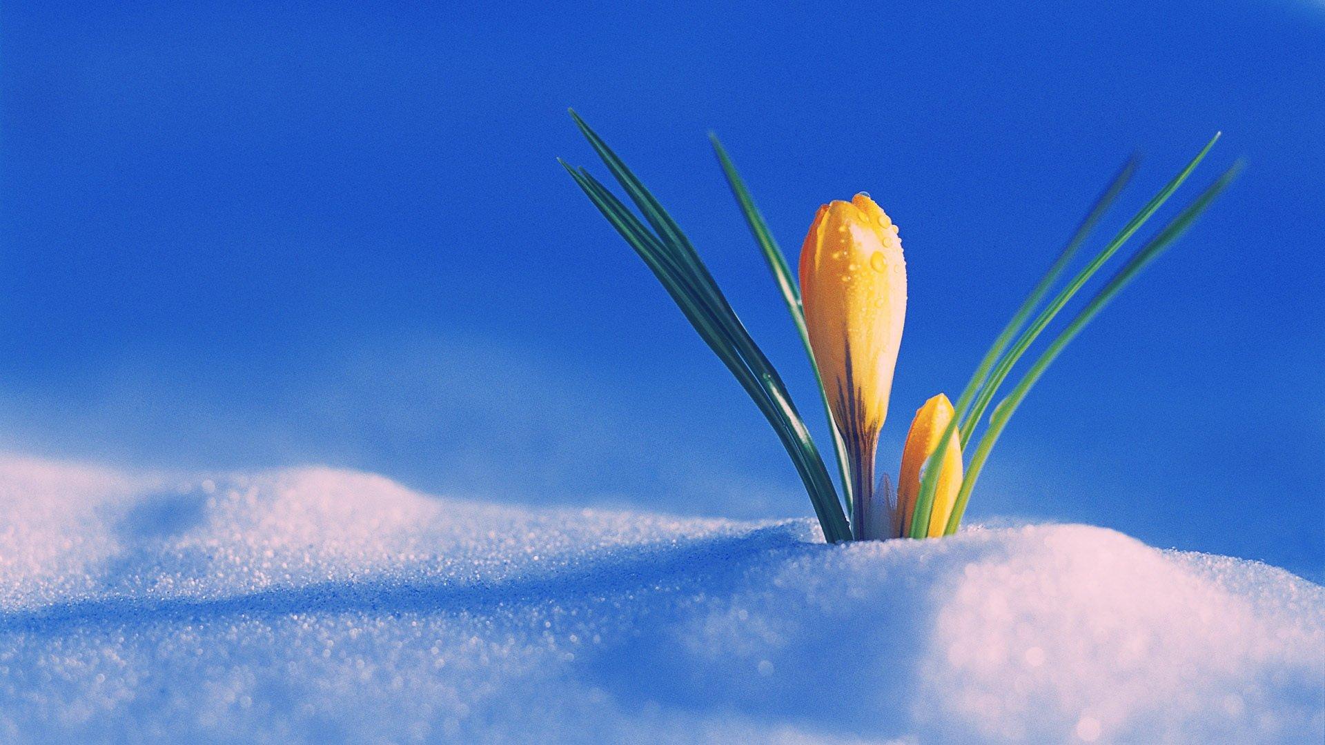 First Day of Spring Wallpapers Top Free First Day of Spring