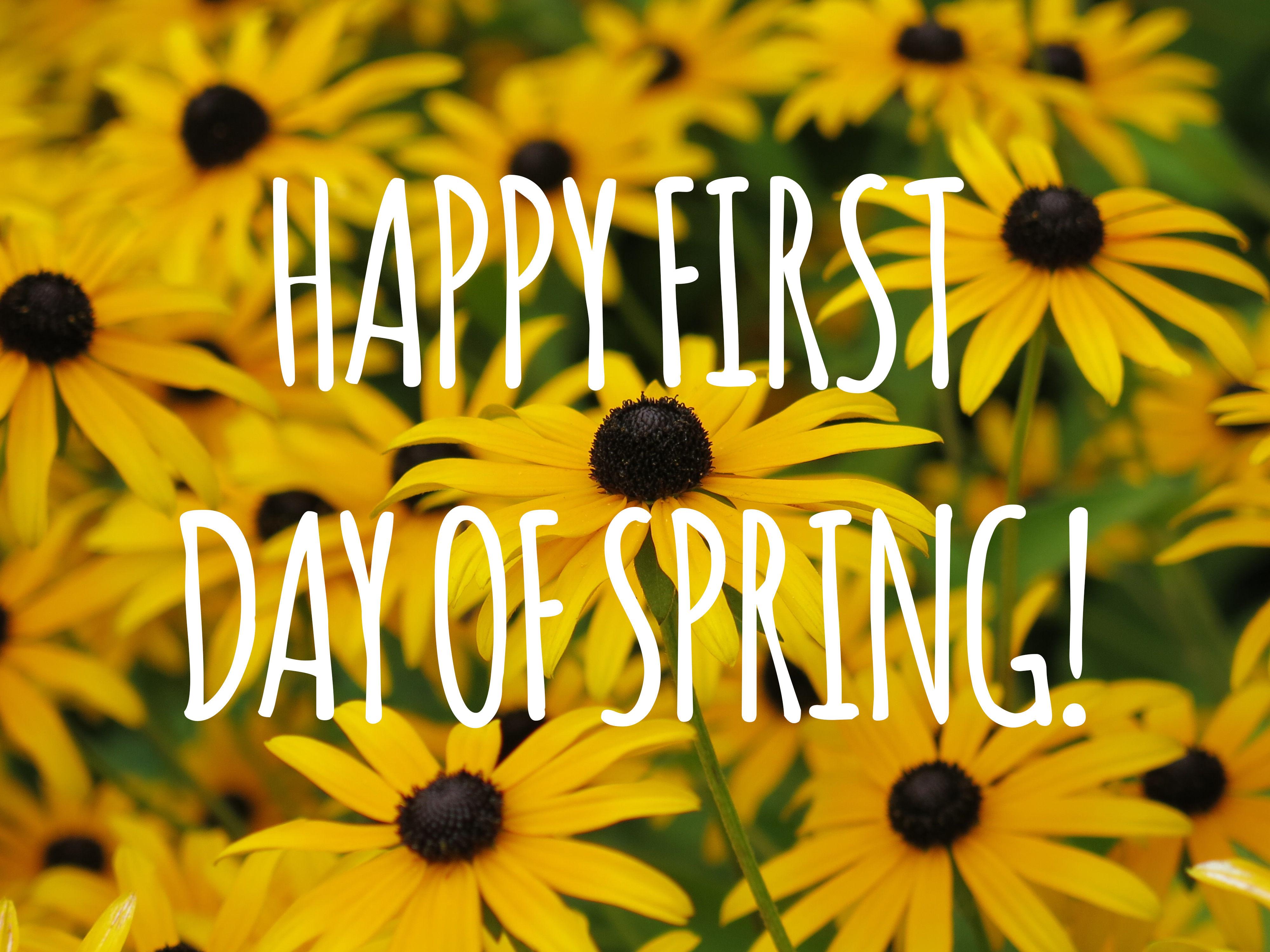 4000x3000 Free download Happy First Day Of Spring Picture Photo and Image for [4000x3000] for your Desktop, Mobile & Tablet. Explore First Day Of Spring Wallpaper. Wallpaper Of Spring, Rainy