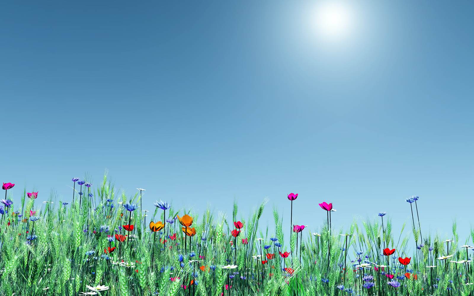 1600x1000 Start Spring Wallpaper