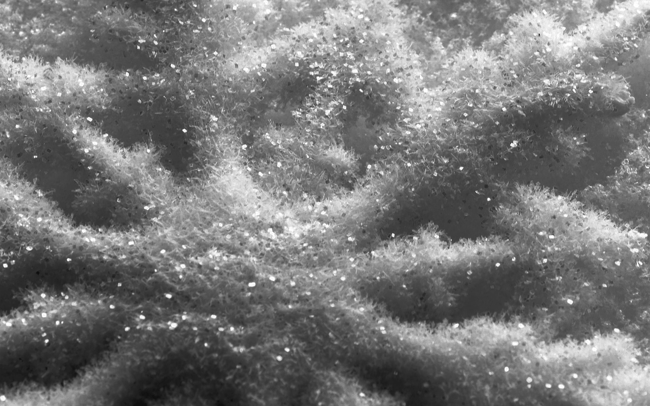 2560x1600 Snow Ice Winter Texture Pattern Dark Bw Wallpaper