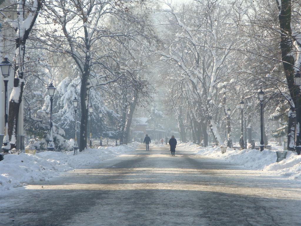 1024x768 City Park, Zemun