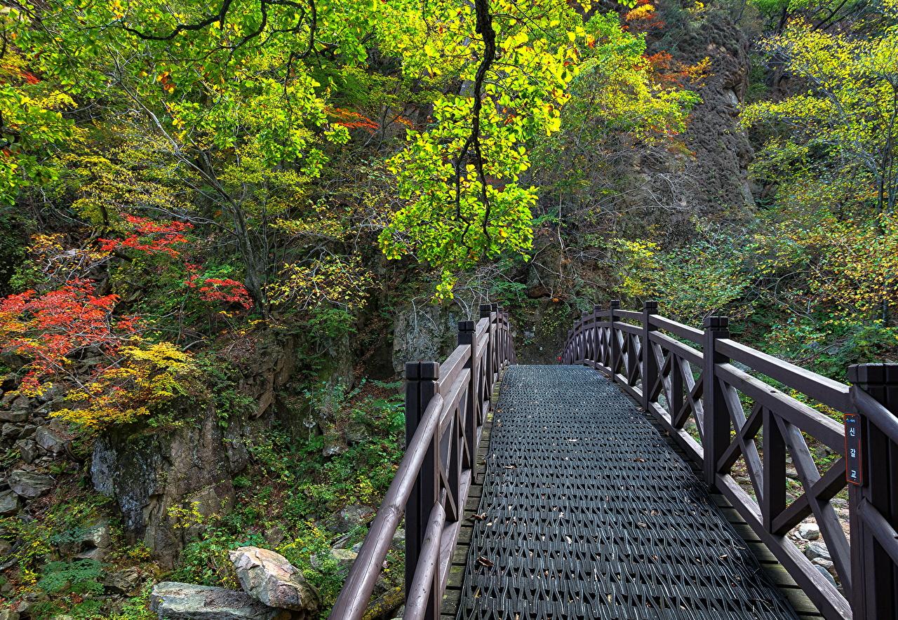 1280x884 Desktop Wallpaper South Korea Seoraksan National Park Nature