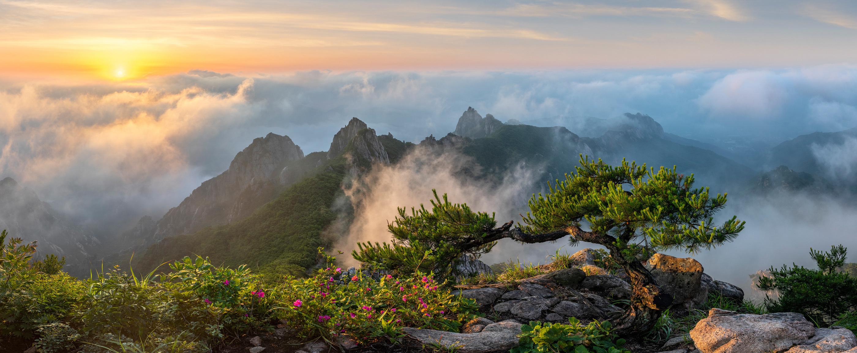 2800x1155 Wallpaper. Nature. photo. picture. nature, Korea, mountains, ?????????, fog
