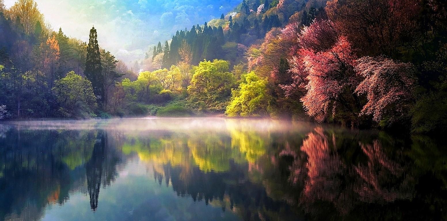 1553x768 Wallpaper / body, reflection, 720P, green, south, south korea, mountain, landscape, spring, lake, sunrise, forest, mist, along, nature, water, korea free download
