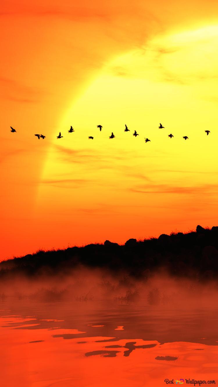750x1334 Big Yellow Sunset 2K wallpaper download