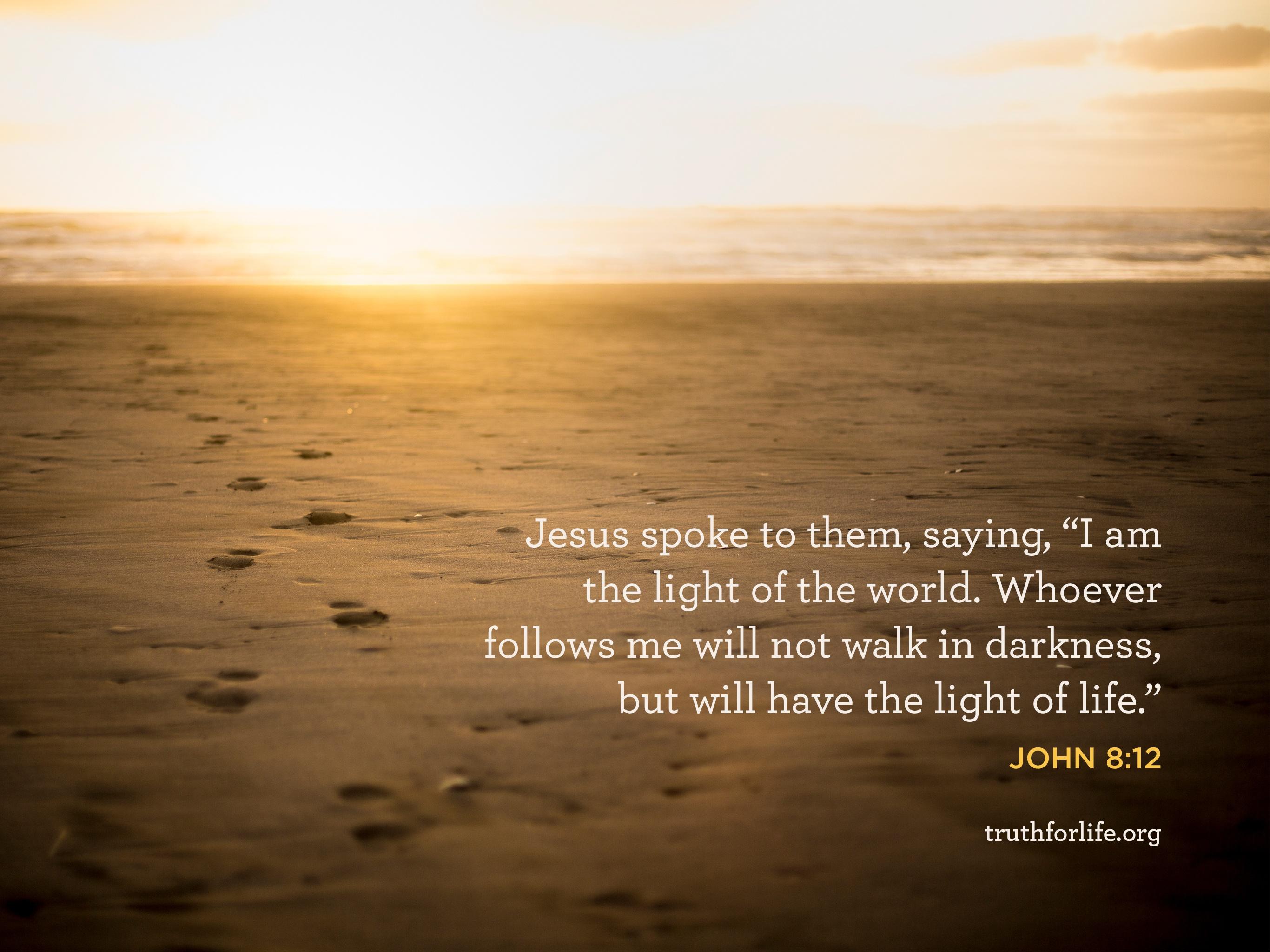 2732x2048 Light Of Life: Wallpaper