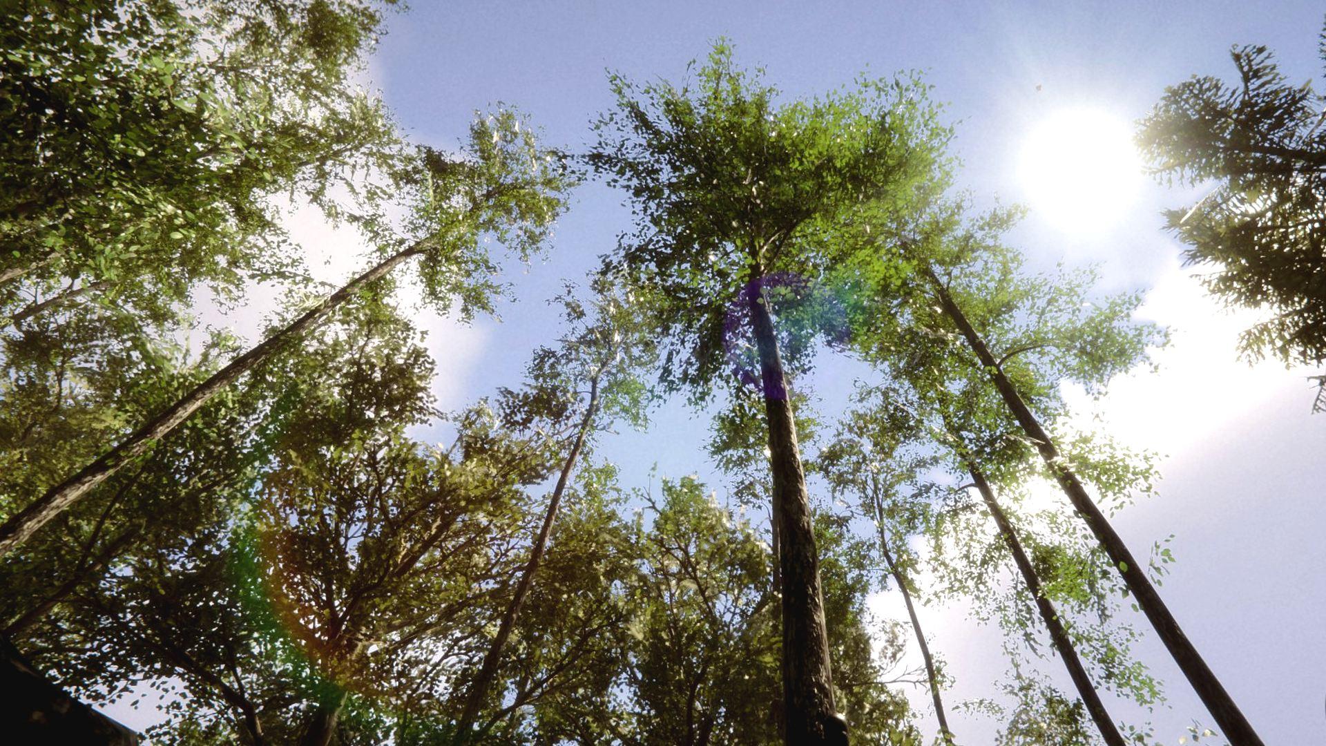 1920x1080 Do Sons of the Forest trees grow back?
