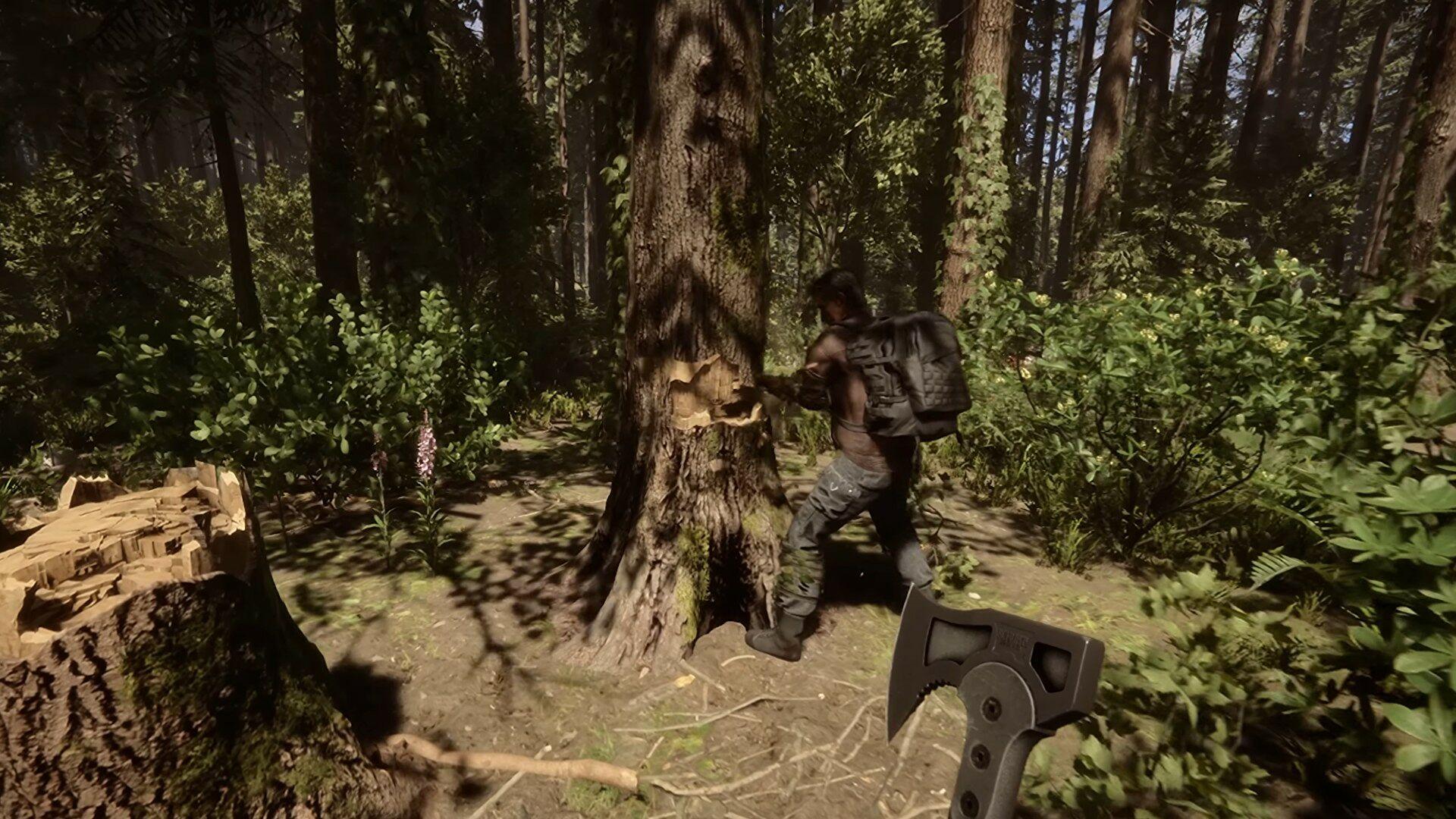 1920x1080 Sons of the Forest system requirements, PC performance and the best settings to use. Rock Paper Shotgun