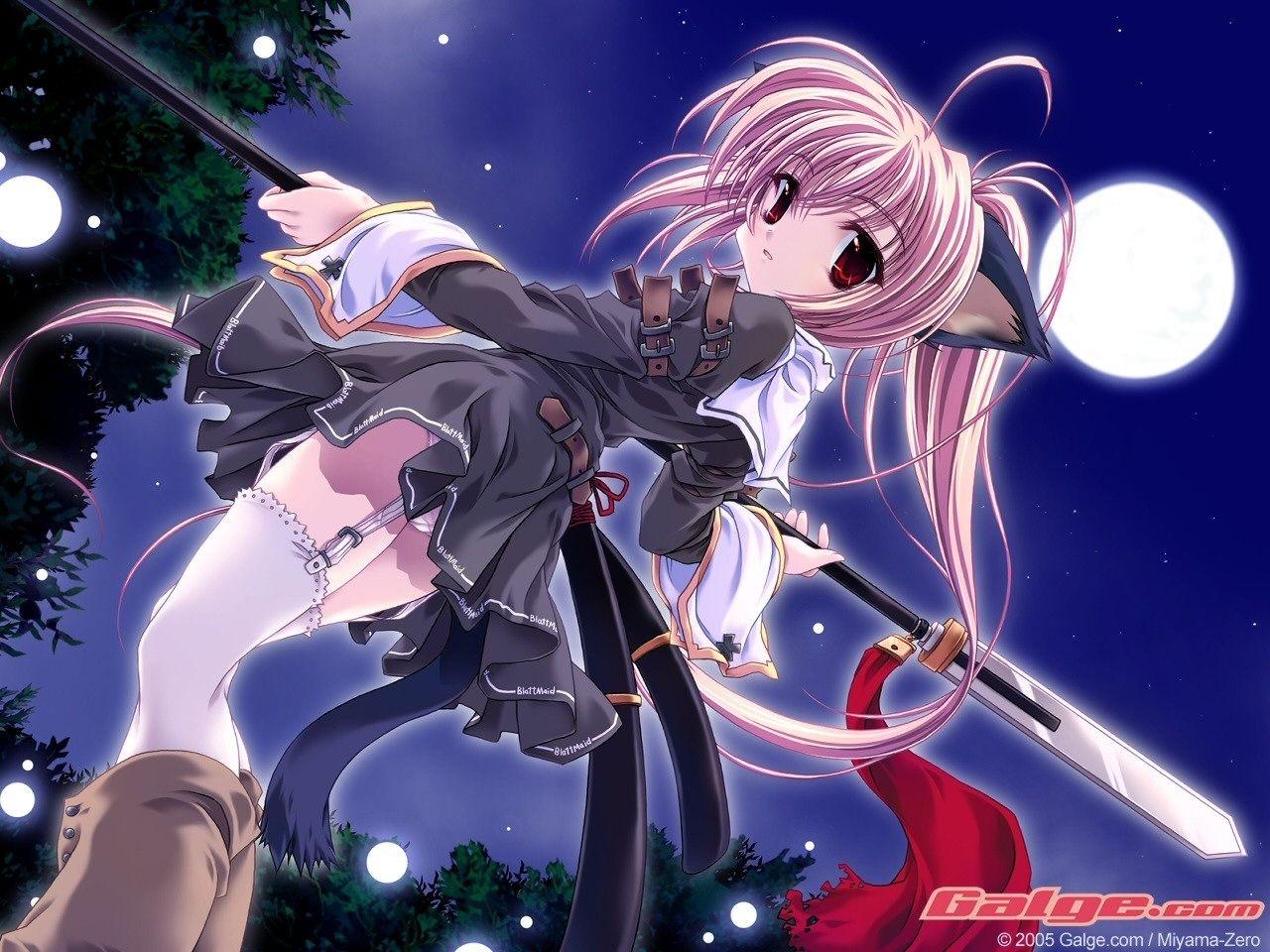 1280x960 neko animal girls Wallpaper