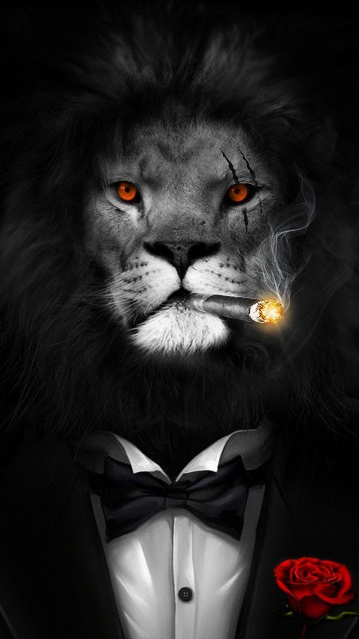 720x1280 Wallpaper. Lion picture, Lion image, Lion art