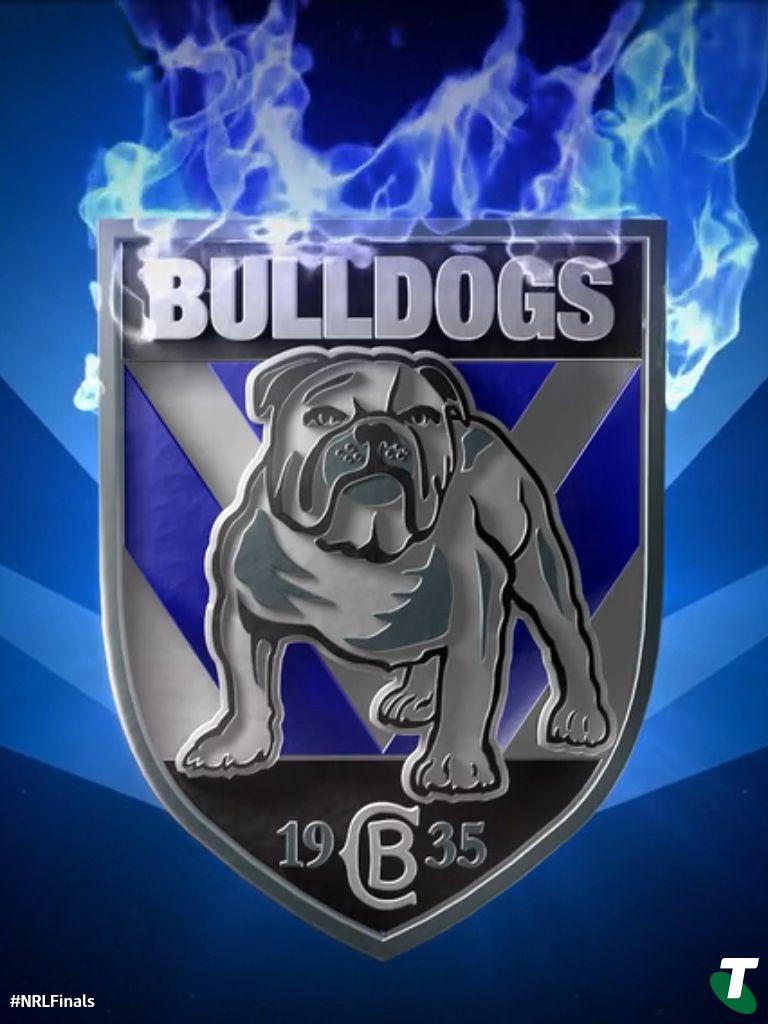 768x1024 Bulldog ideas. bulldog, canterbury bulldogs, nrl