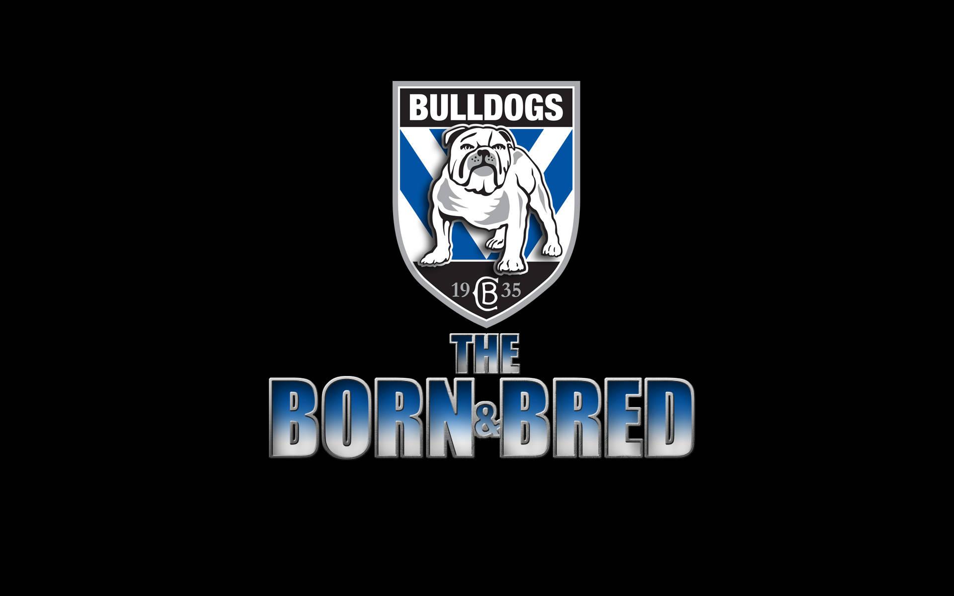 1920x1200 Download Canterbury Bankstown Bulldogs NRL Wallpaper