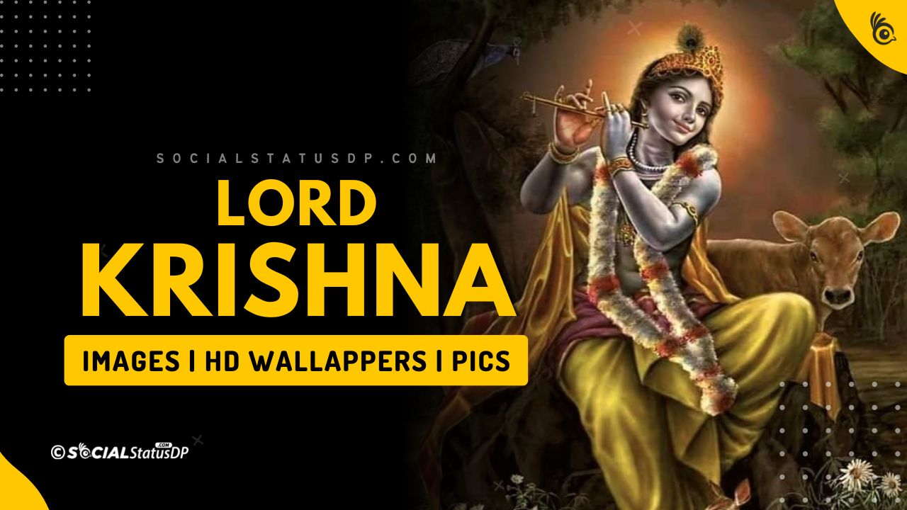 1280x720 Lord Krishna Image, Photo, Picture, 3D Wallpaper, Paintings