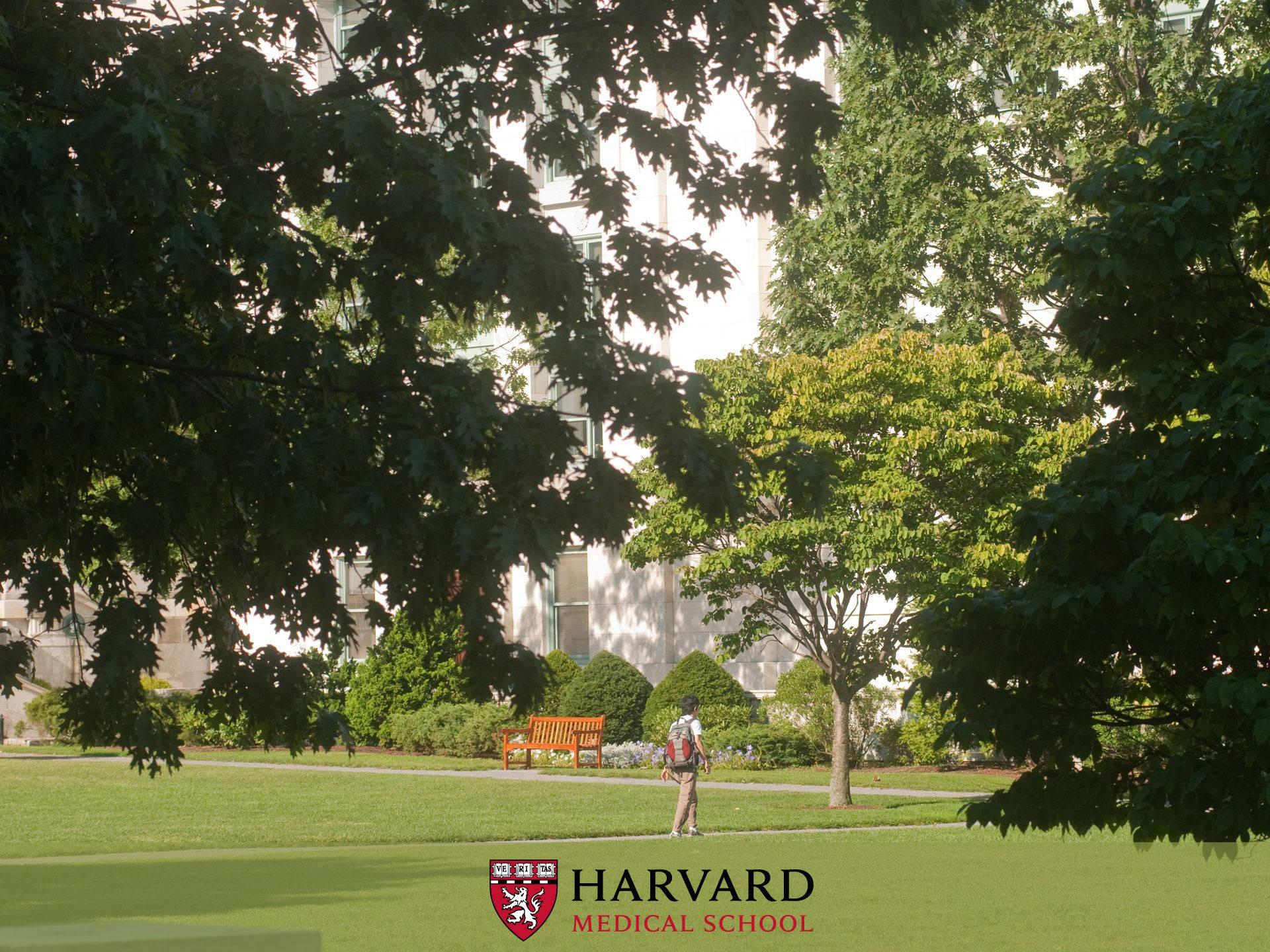 1920x1440 Download Harvard University Medical School Grounds Wallpaper