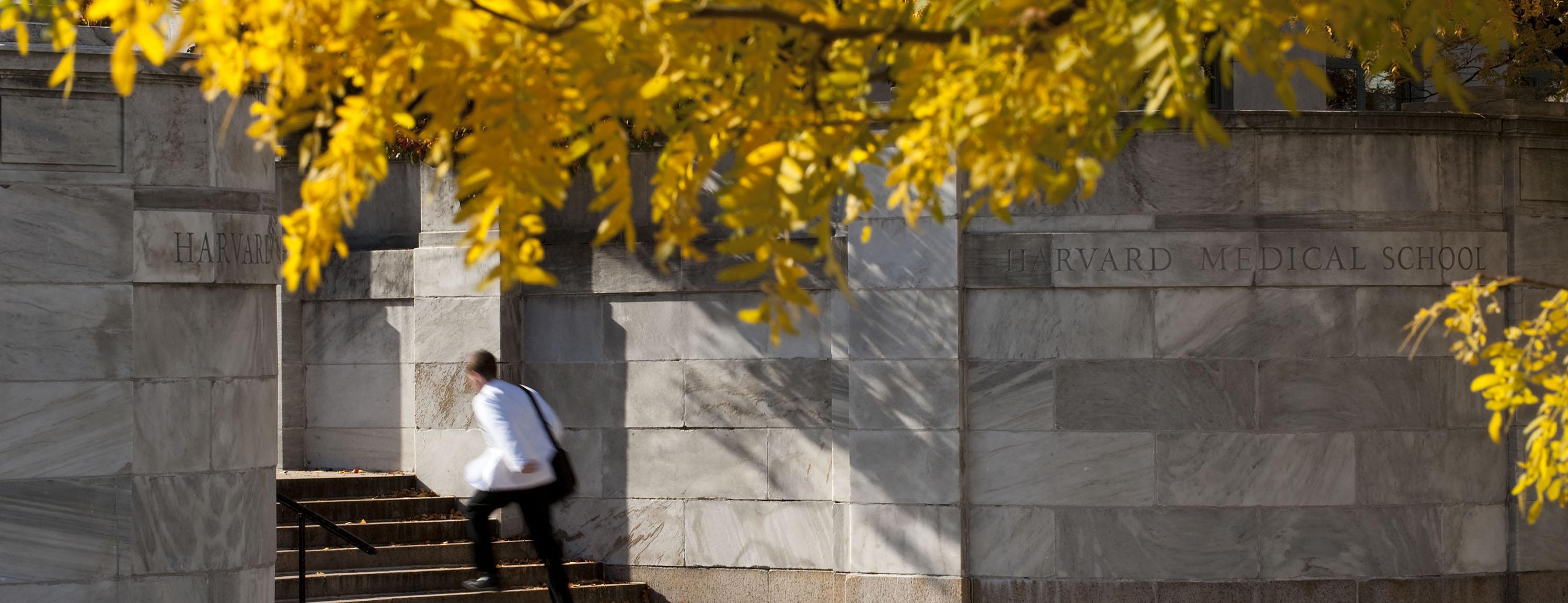 3000x1154 Campus and Culture. Harvard Medical School