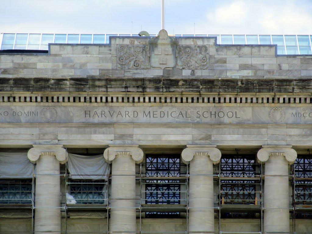 1024x768 Harvard Medical School
