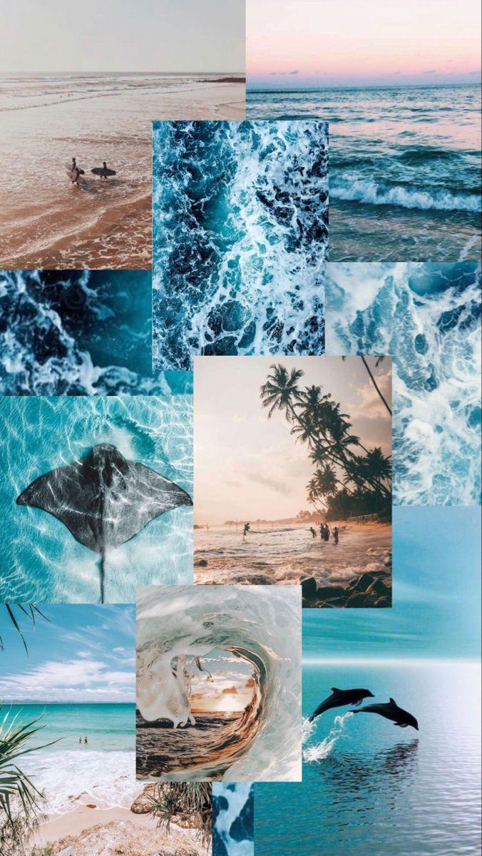 Ocean Collage Wallpapers - Top Free Ocean Collage Backgrounds ...