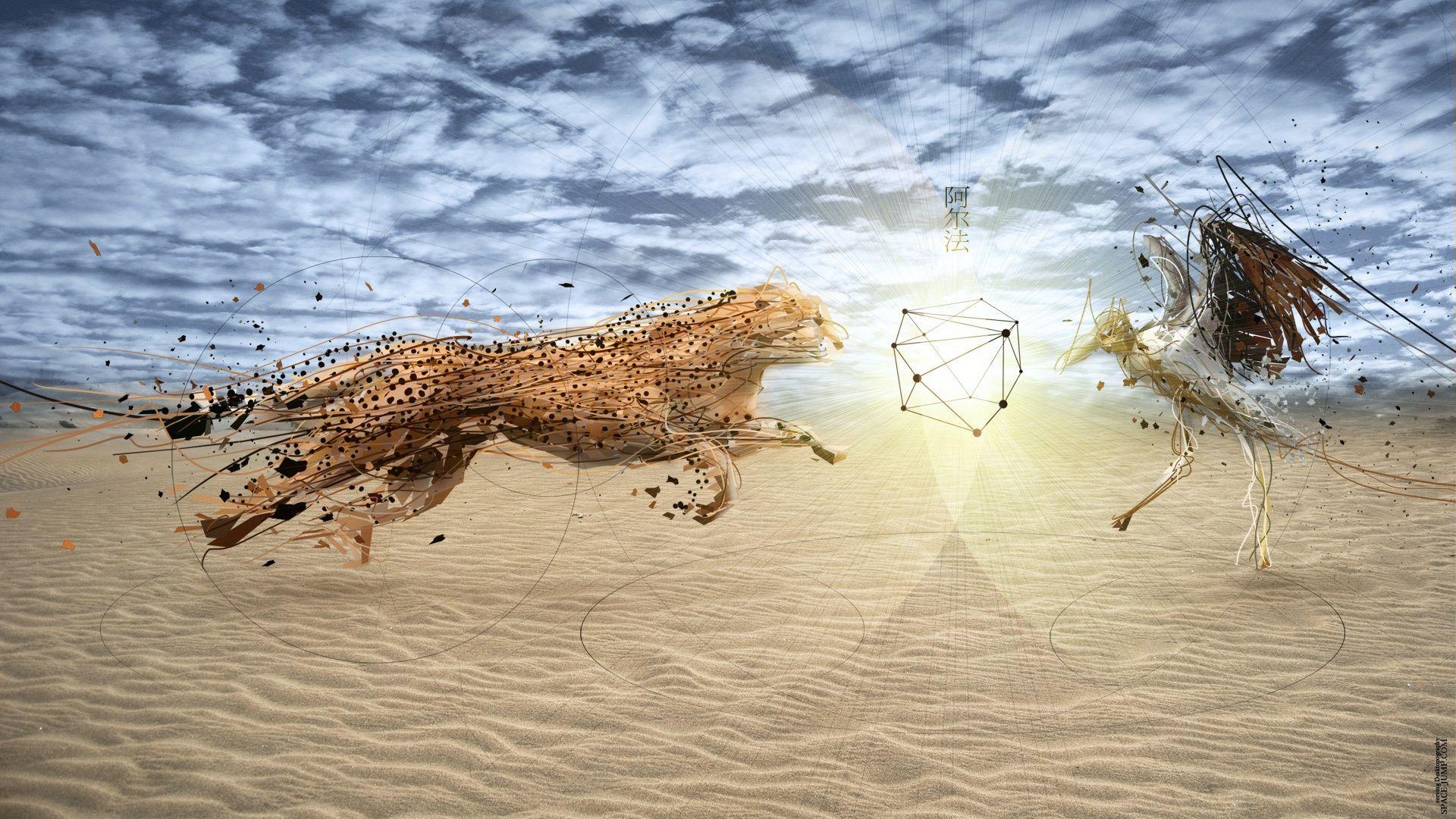 1920x1080 Cheetah Fight Wallpaper in jpg format for free download
