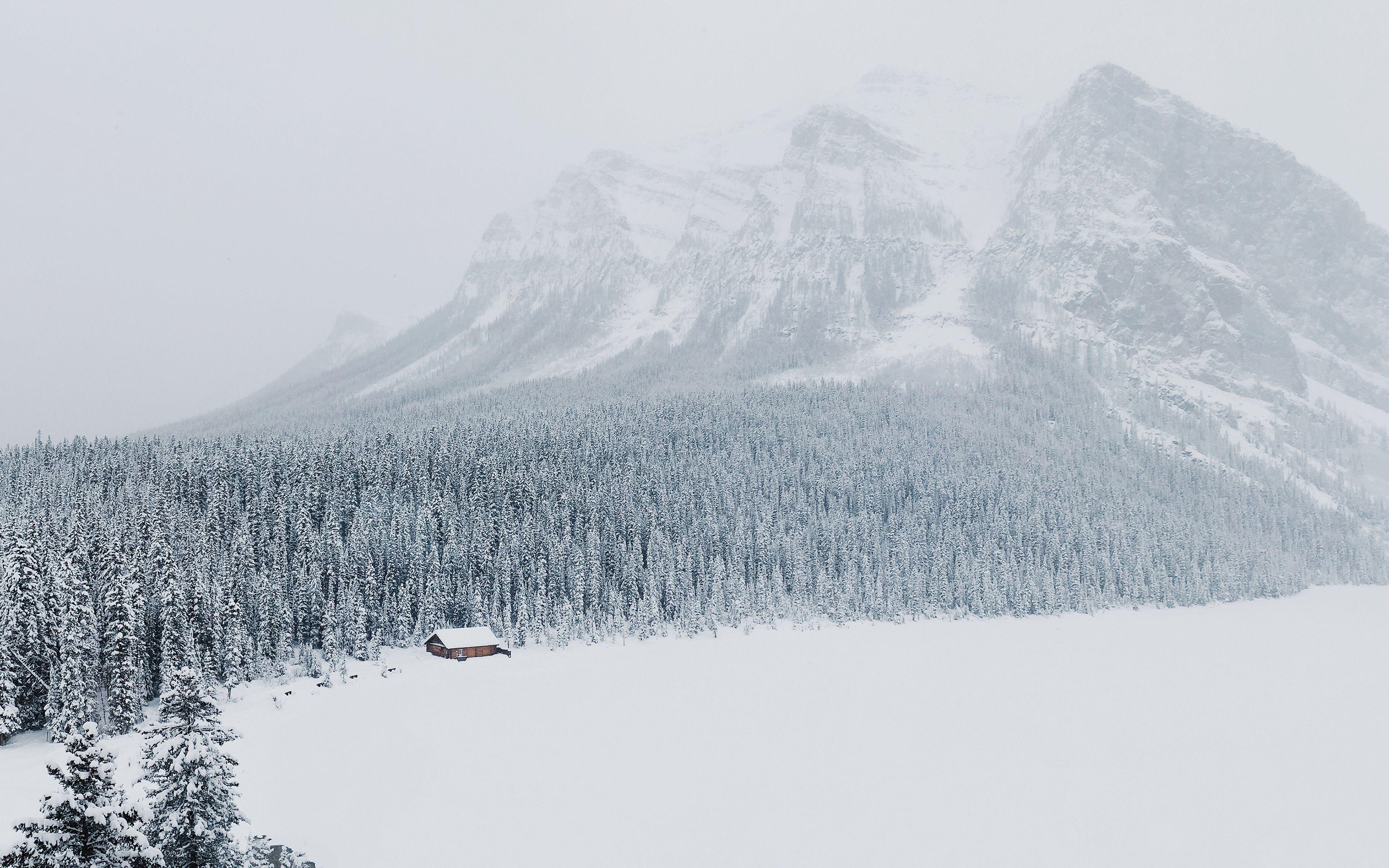 3840x2400 Download wallpaper 3840x2400 winter, snow, mountains, trees HD