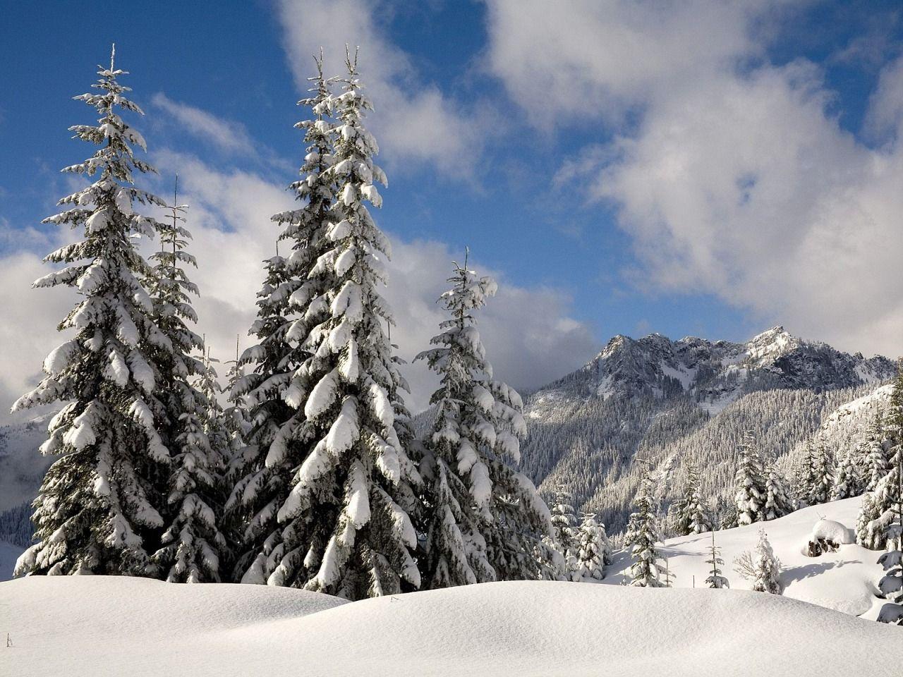 1280x960 Fresh Snow Over Denny Mountain Wallpaper Winter Nature Wallpaper