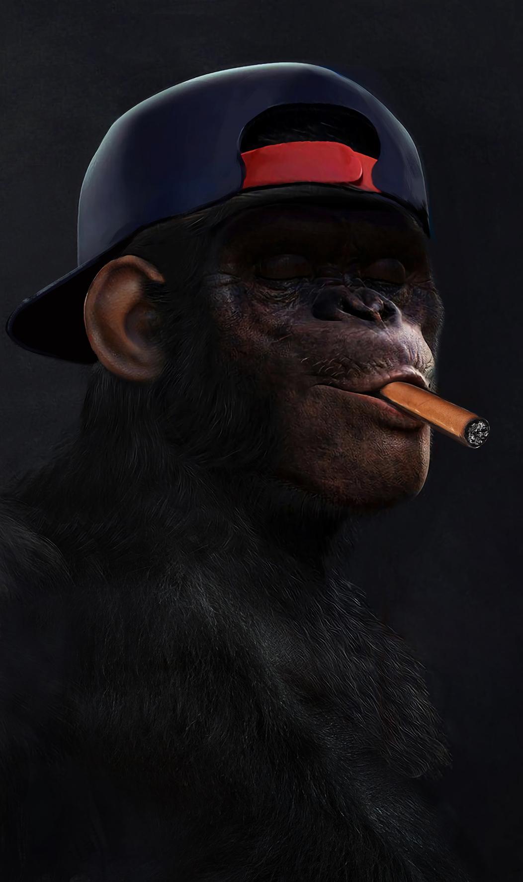 Smoking Monkey Wallpapers - Top Free Smoking Monkey Backgrounds 