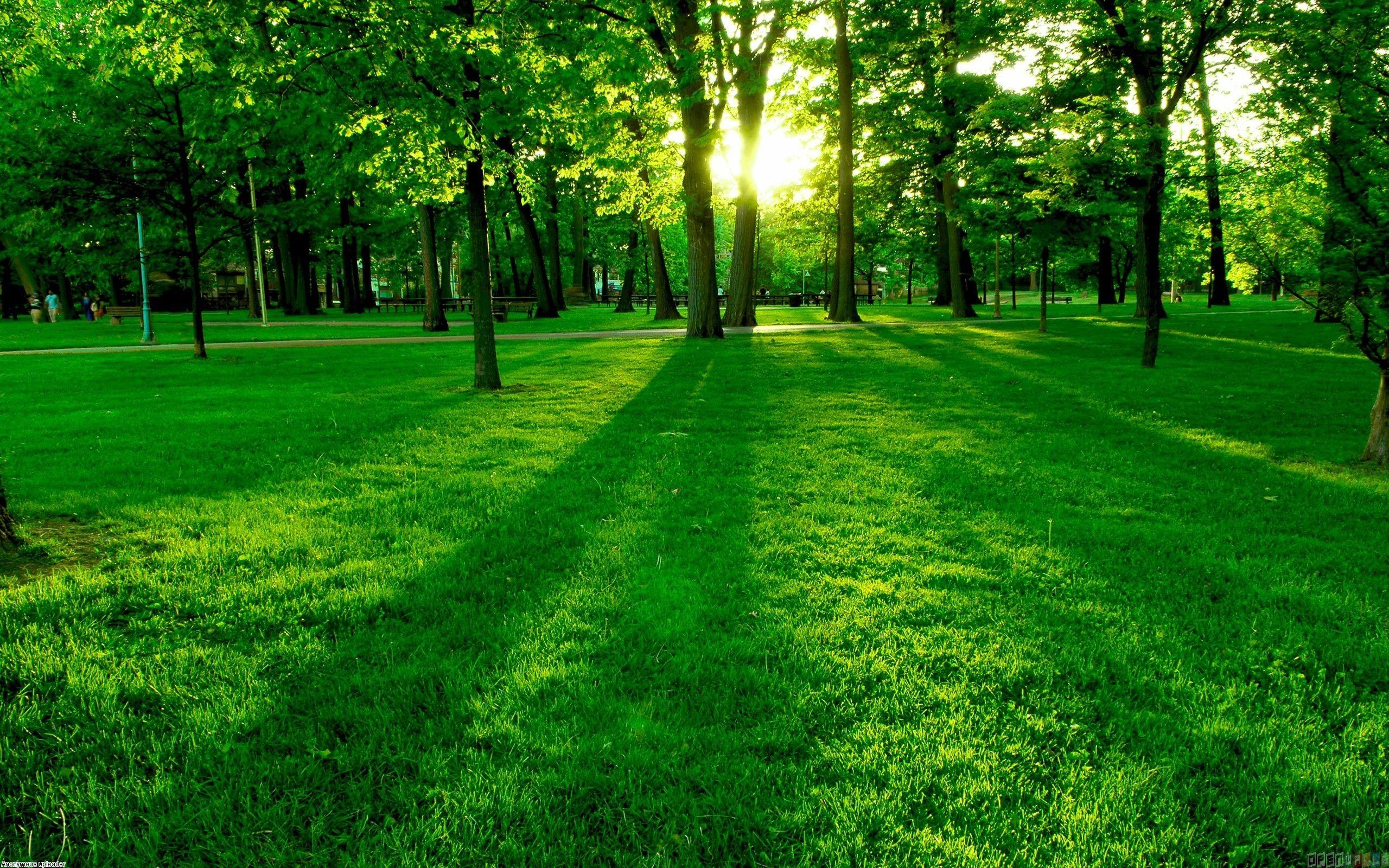 2560x1600 Ground Wallpaper