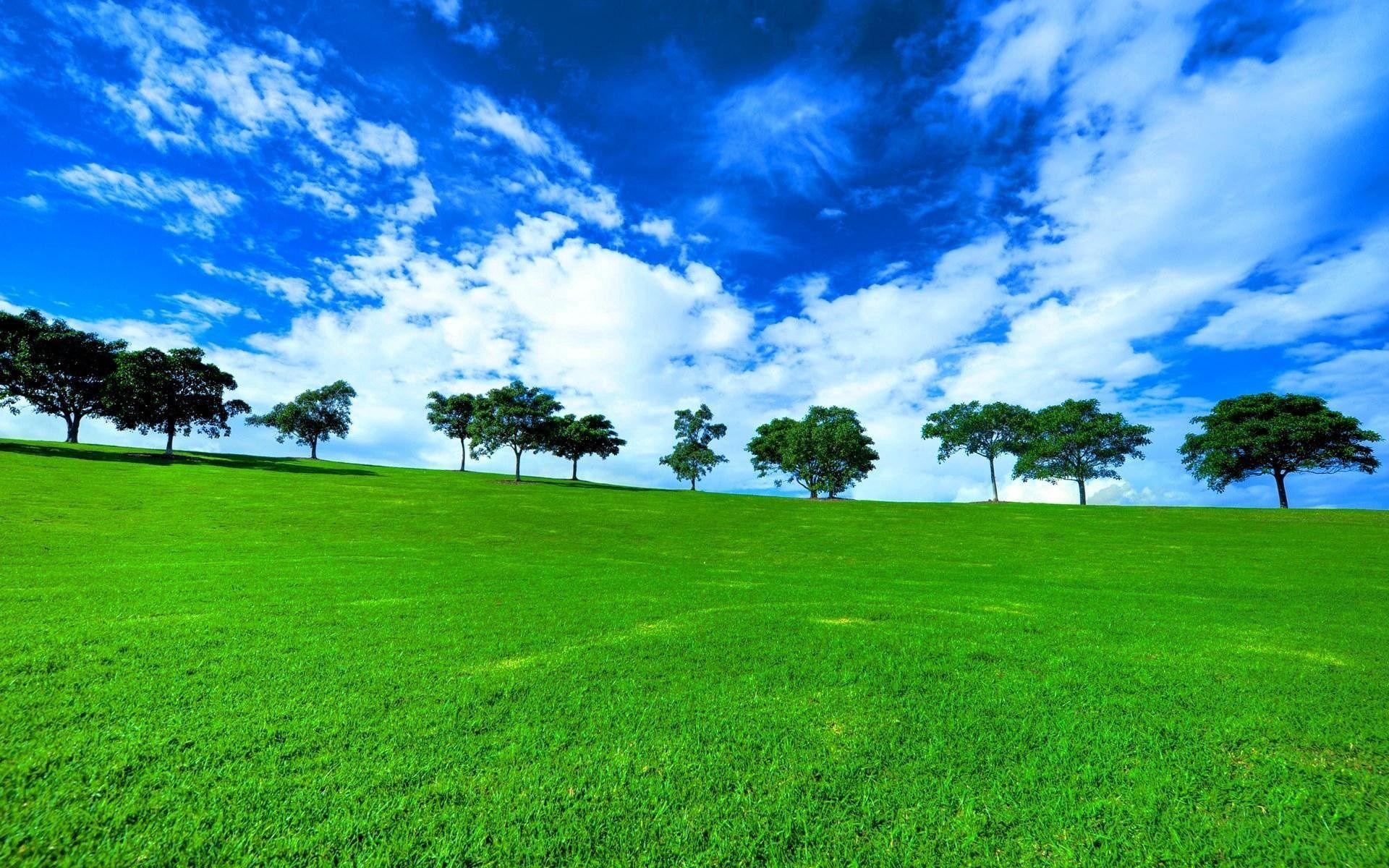 1920x1200 Green wallpaper for your phone, free download Green picture