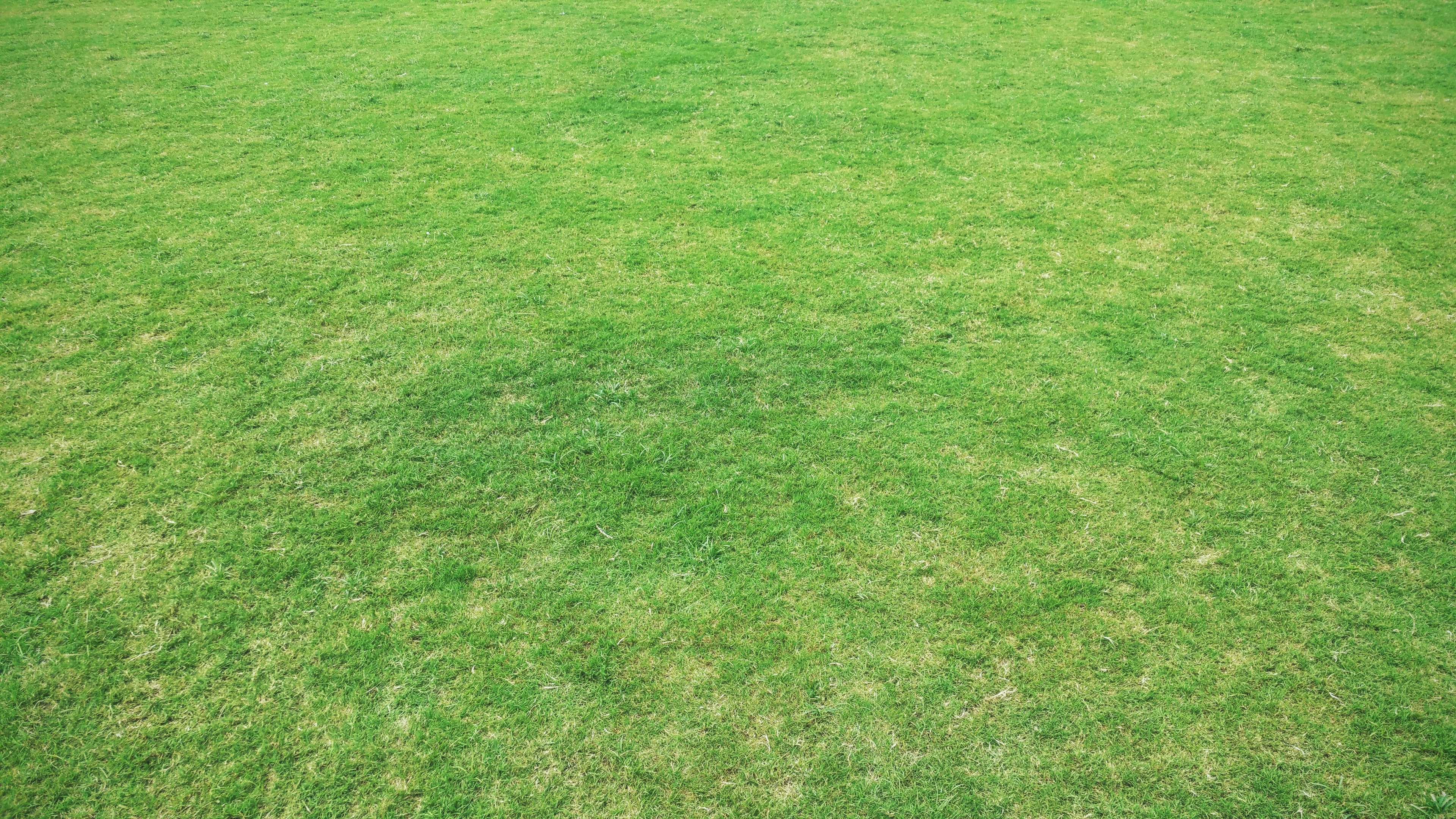 3840x2160 3840x2160 background, background, bright, desktop background, desktop wallpaper, empty, field, free wallpaper, golf, grass, grass field, grass land, grassland, grasslands, grassy, green grass, ground, hayfield, HD wallpap 4k JPG